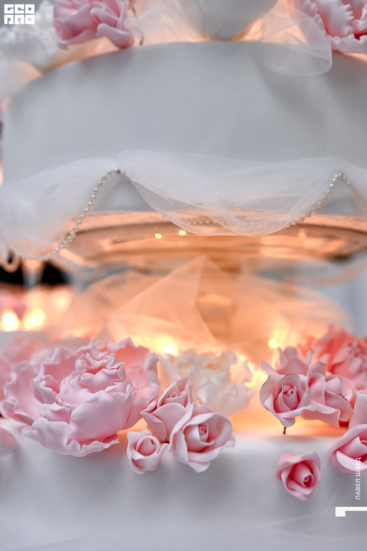 2019-11-24 13-10-00_SHVED_0016.jpg