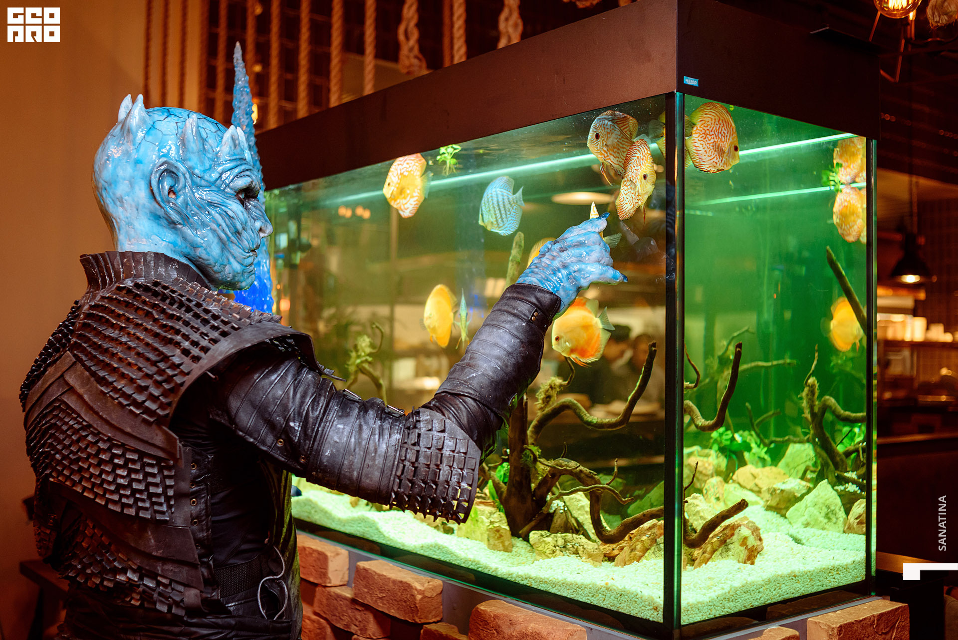 0023-2019-11-01-21-11-30 - Sanatina.jpg