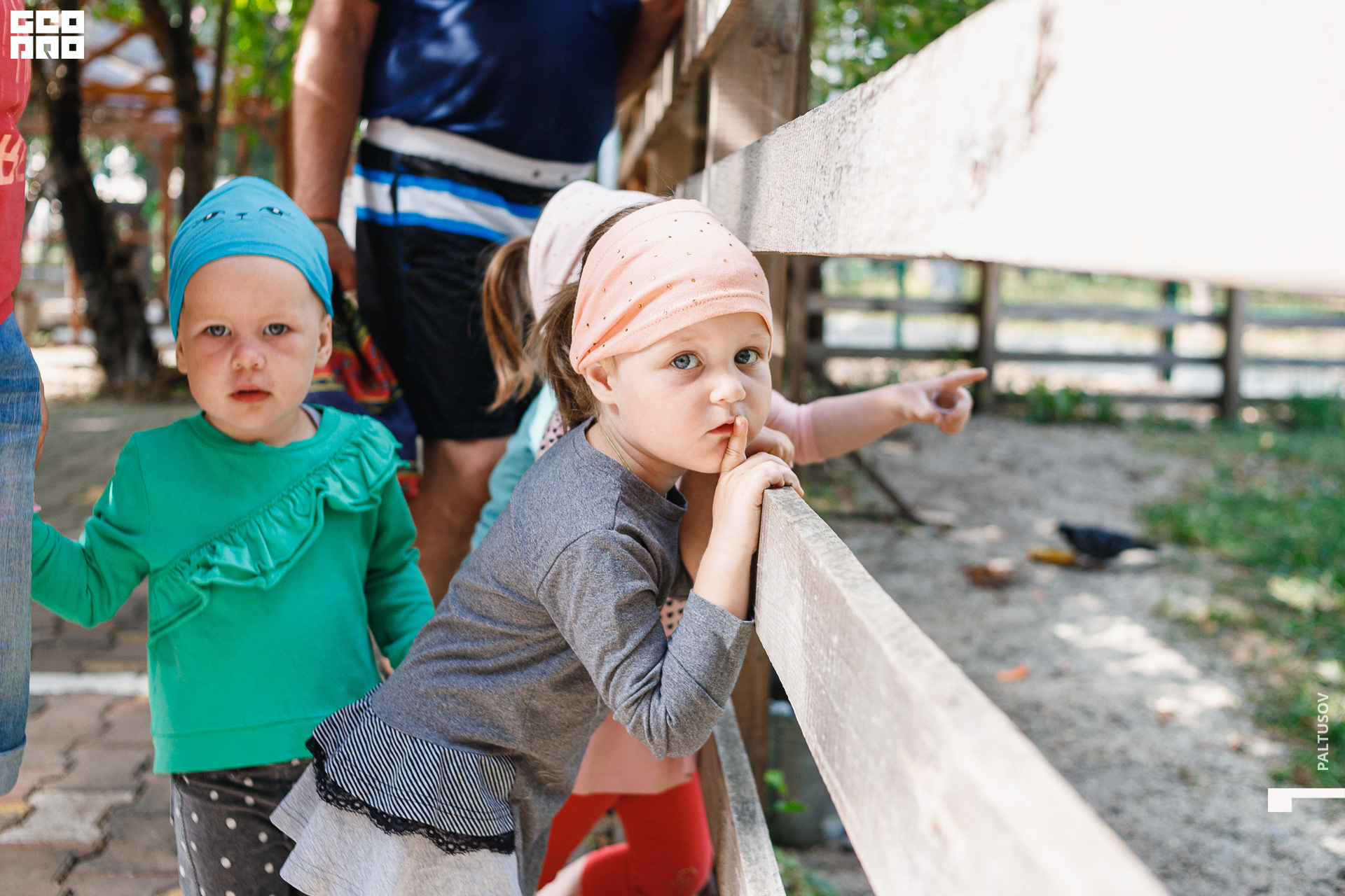 082-2020-07-25-16-46-03 - Paltusov.jpg