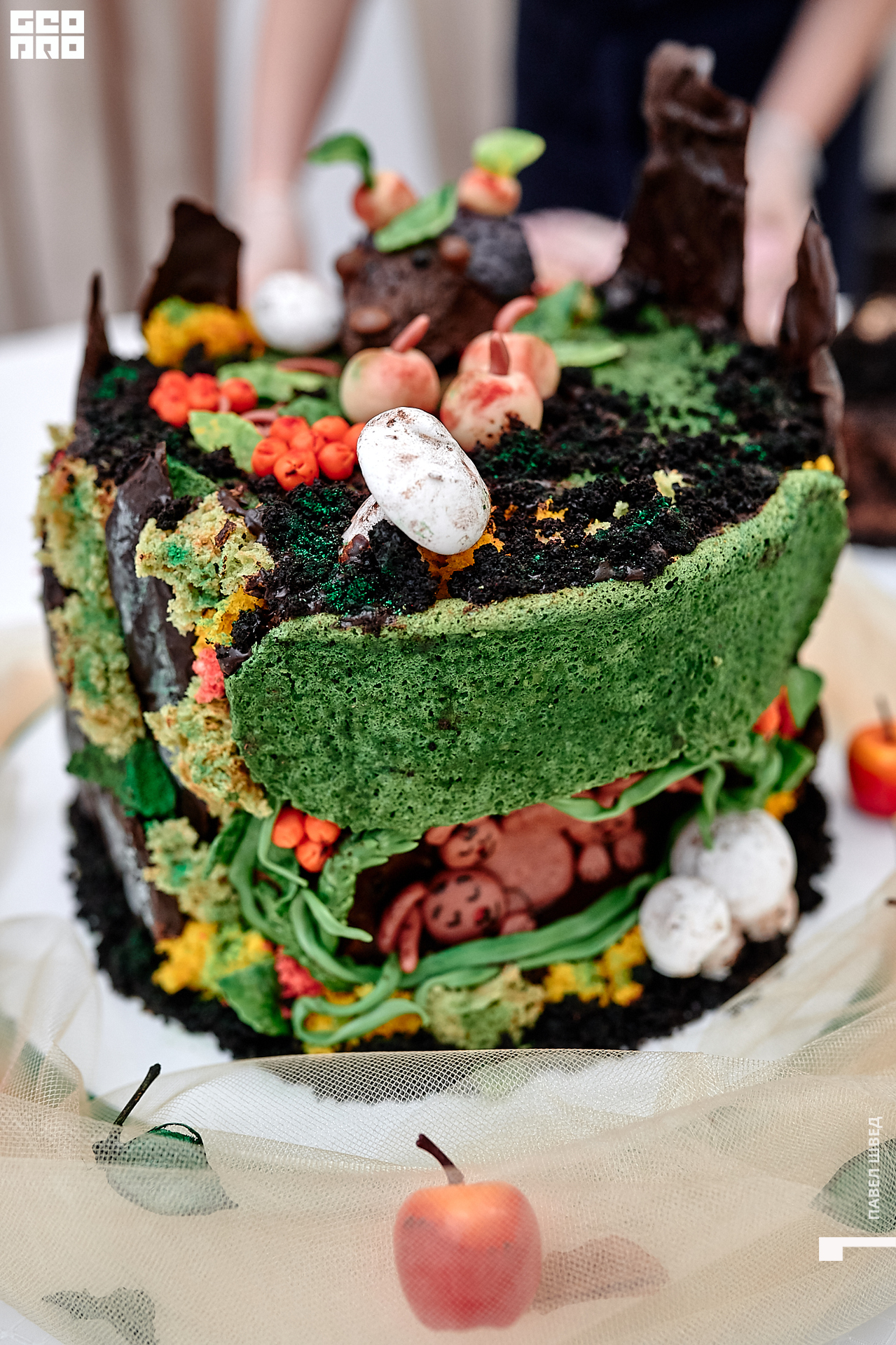 2019-11-24 13-10-00_SHVED_0062.jpg