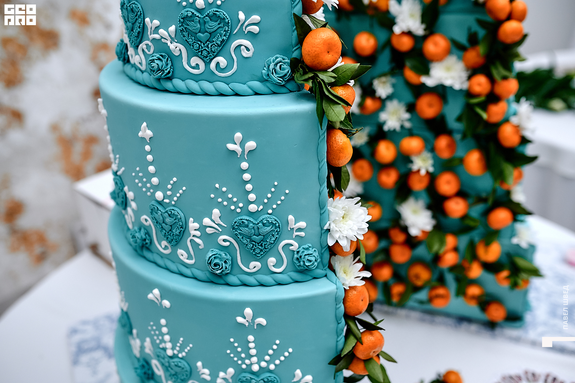 2019-11-24 13-10-00_SHVED_0010.jpg