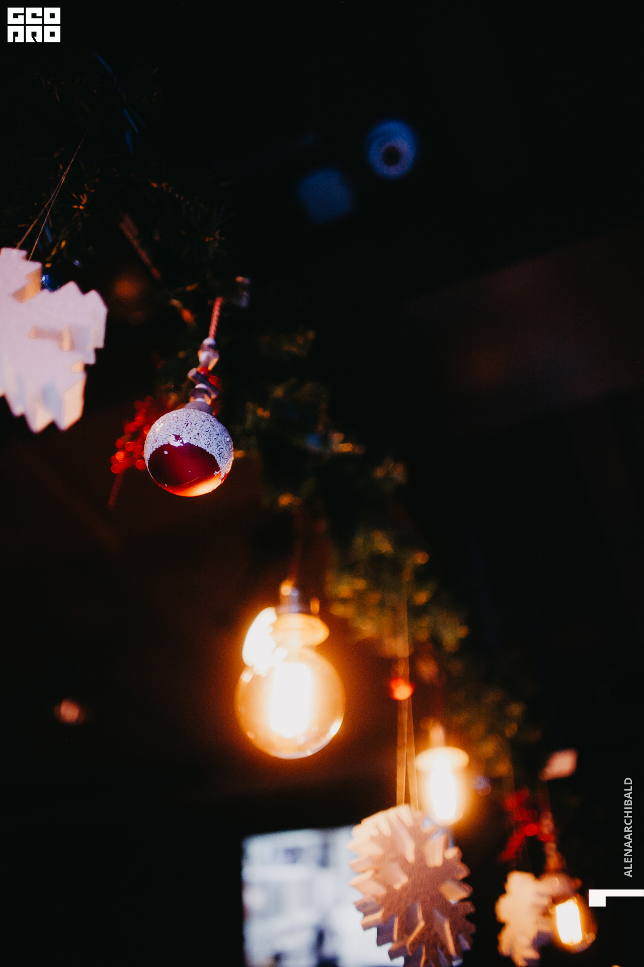 2019-12-27 23-00-03_alenaarchibald_0073.jpg