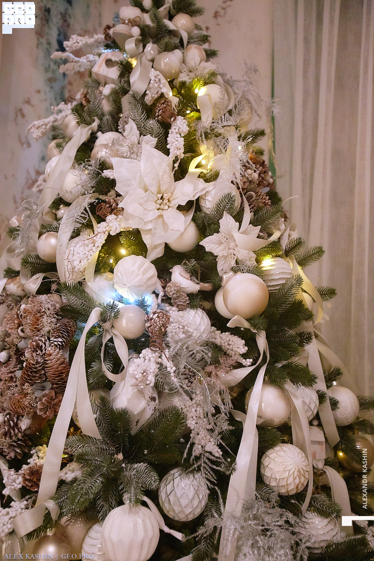 2020-01-06 22-00-00_Kashin_0073.jpg