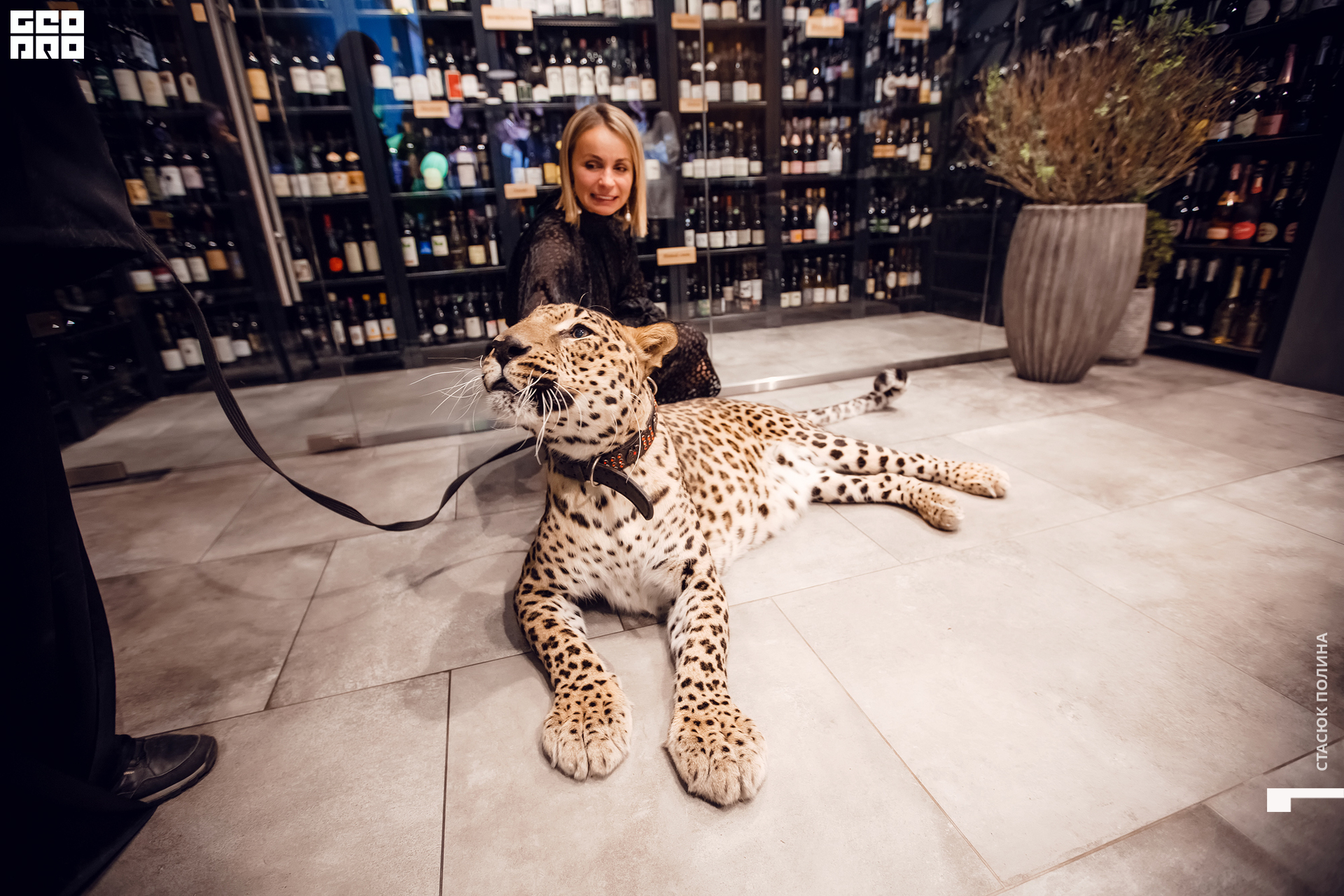 кино вино и домино - 146.jpg