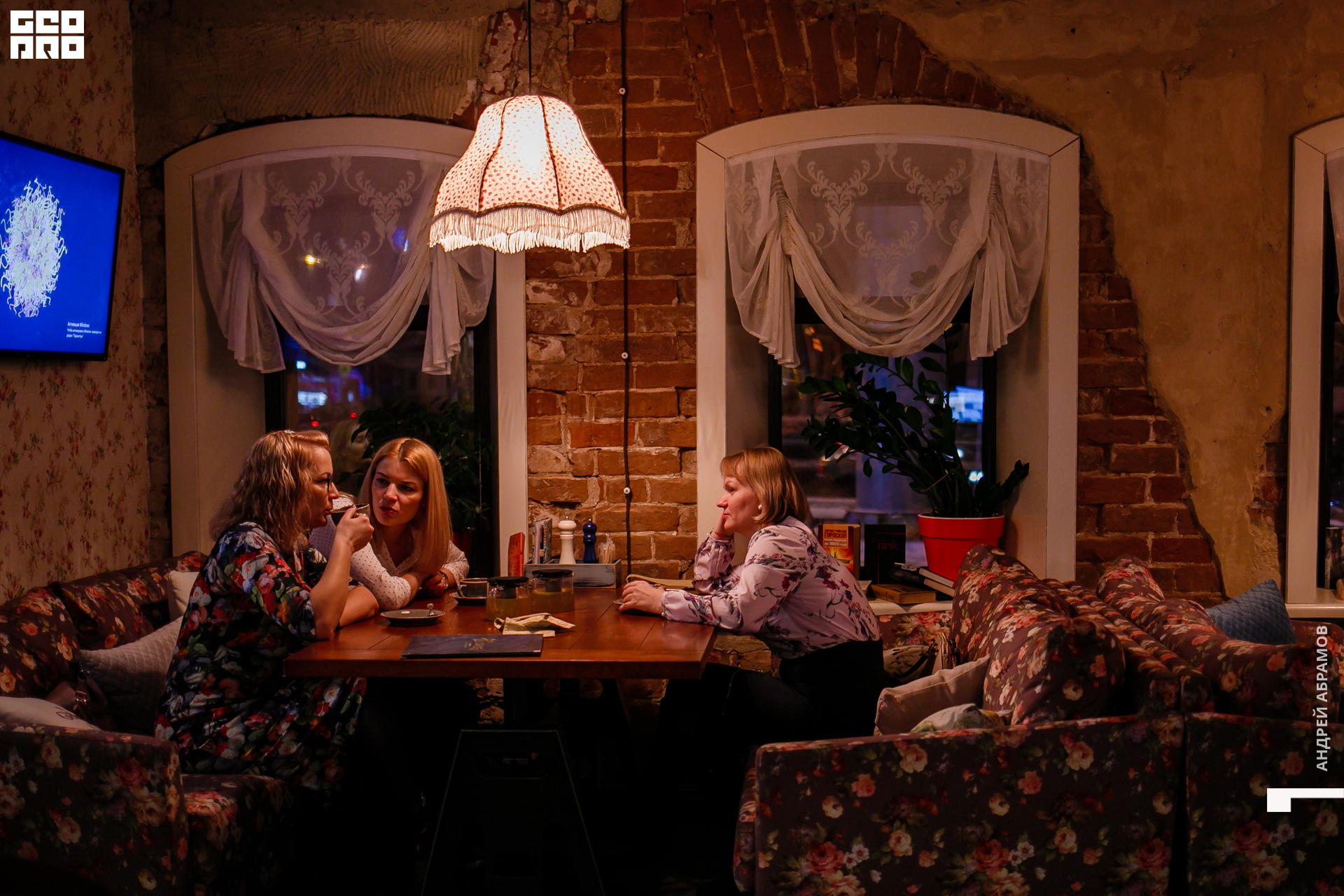 151119 Птичка Абрамов 0040.jpg