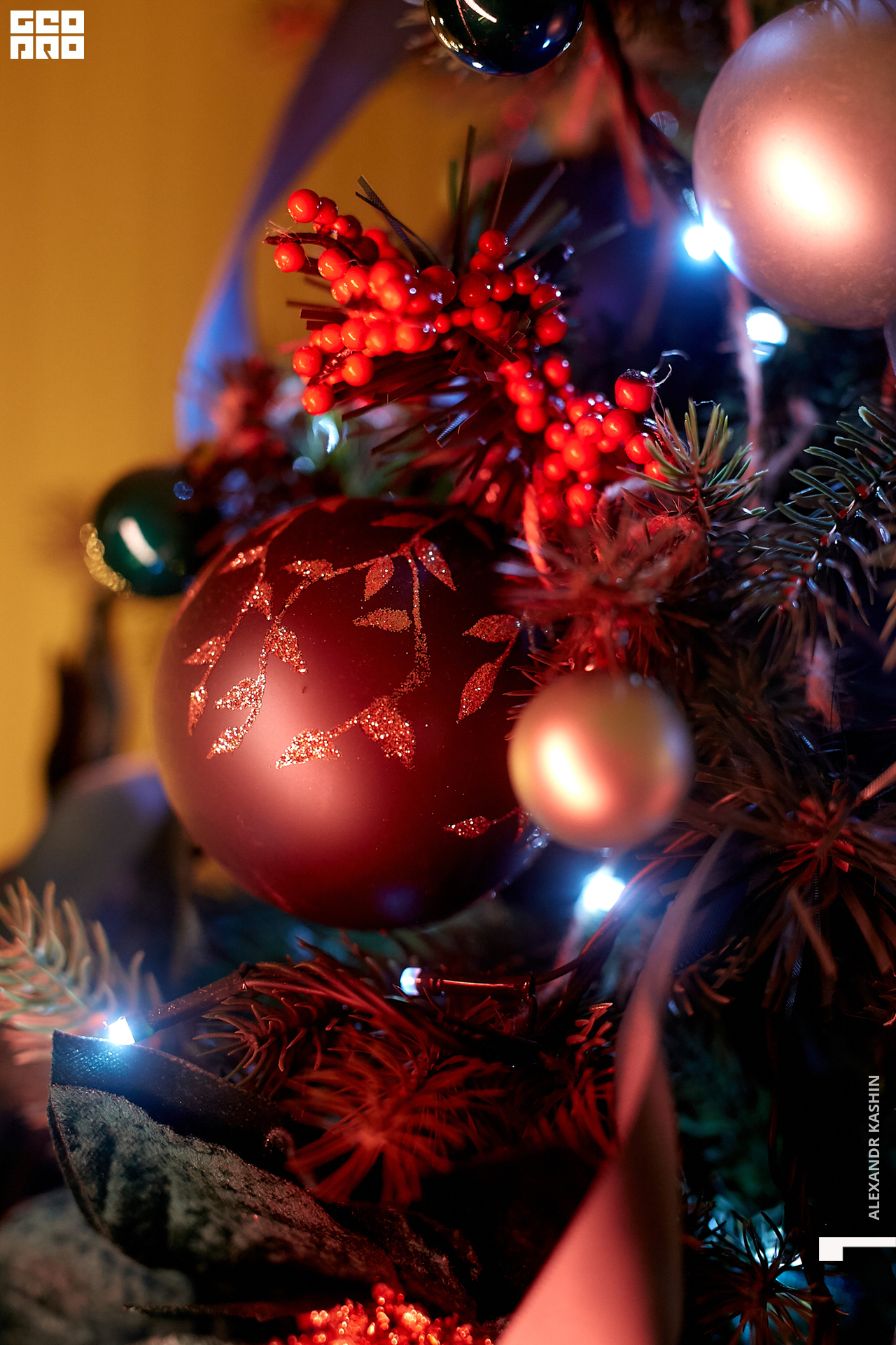 2020-01-03 20-00-00_Kashin_0024.jpg