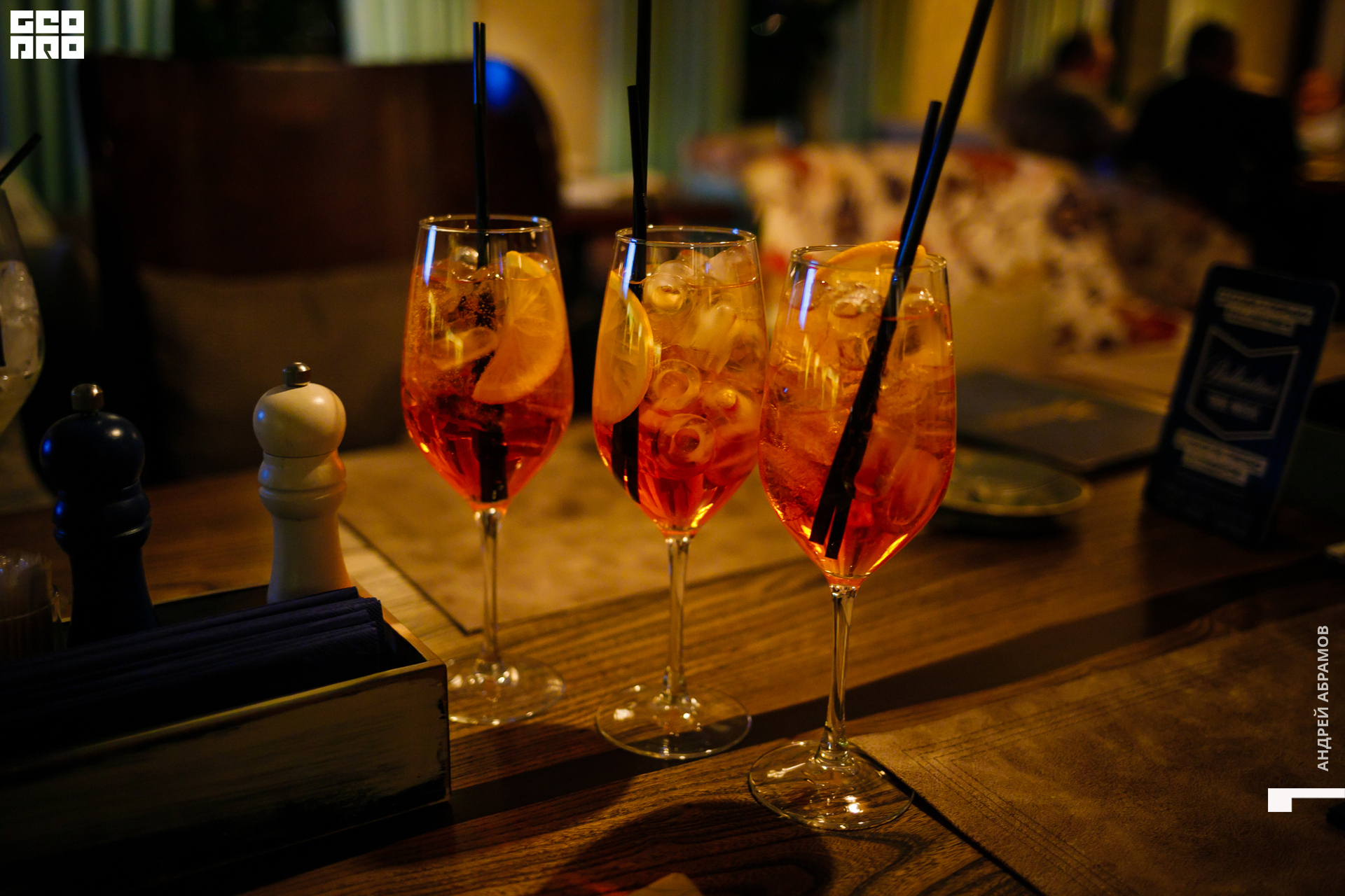 081119 Птичка Абрамов 0003.jpg