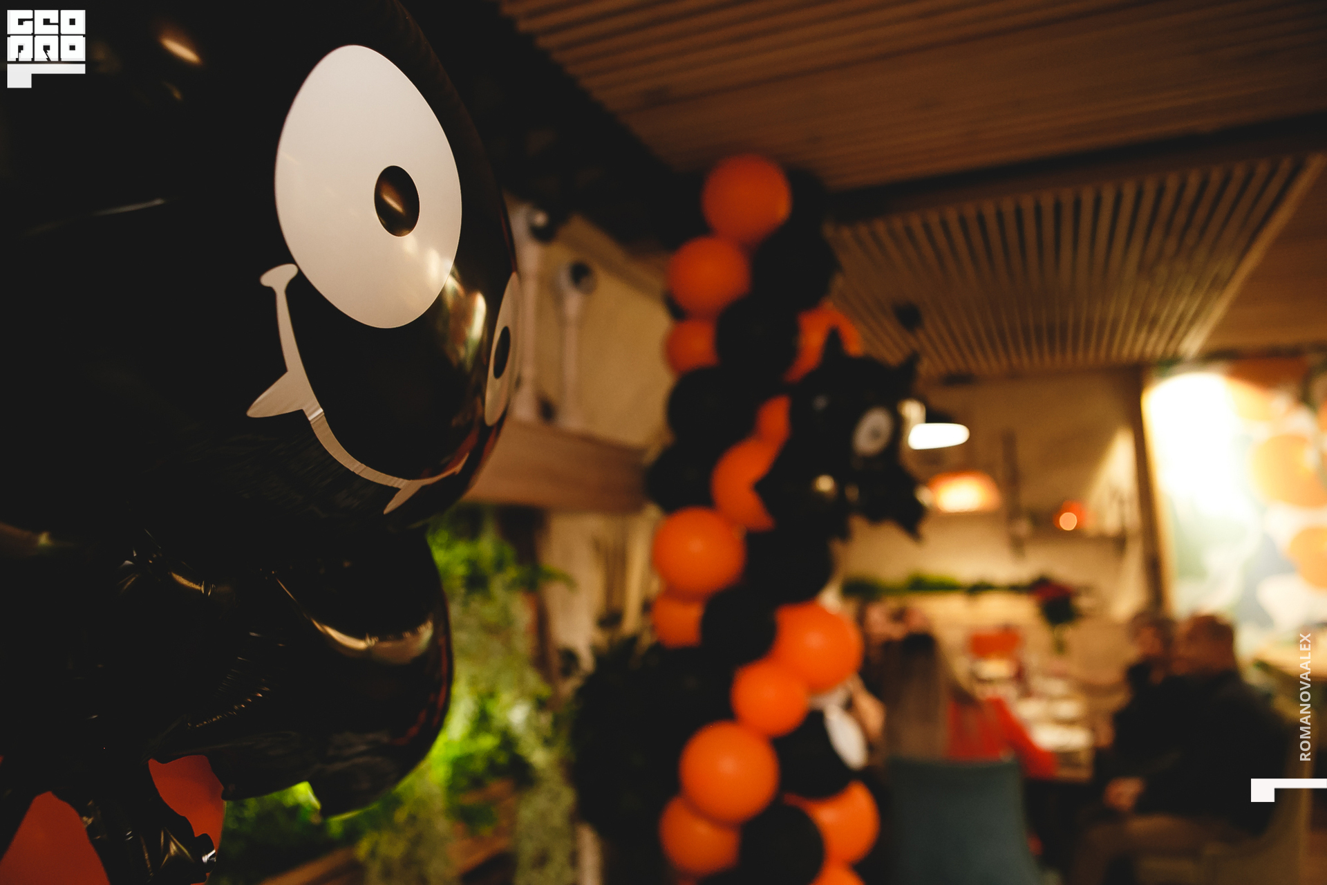 101 201031 195302 _Романова.jpg