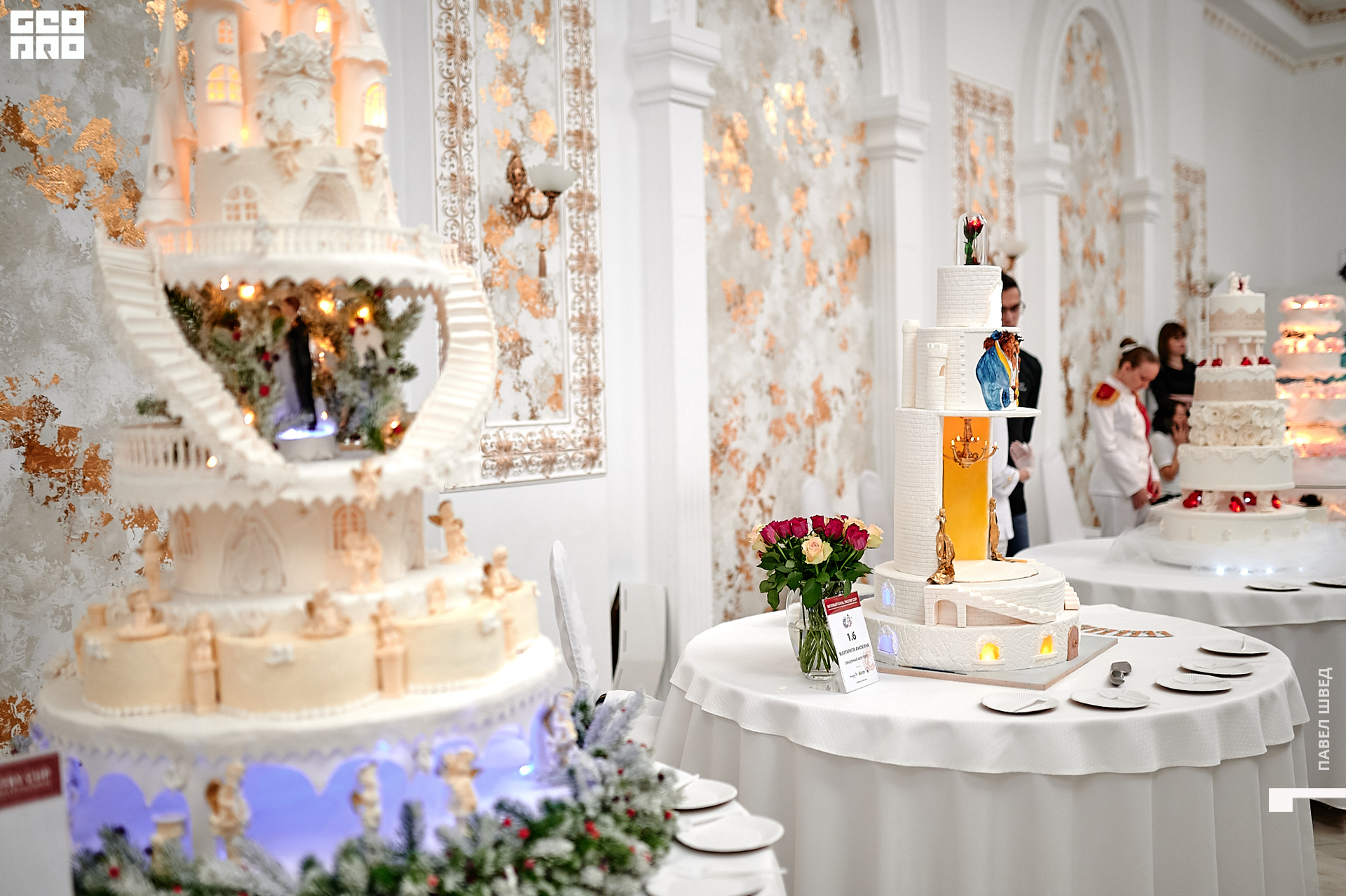 2019-11-24 13-10-00_SHVED_0037.jpg