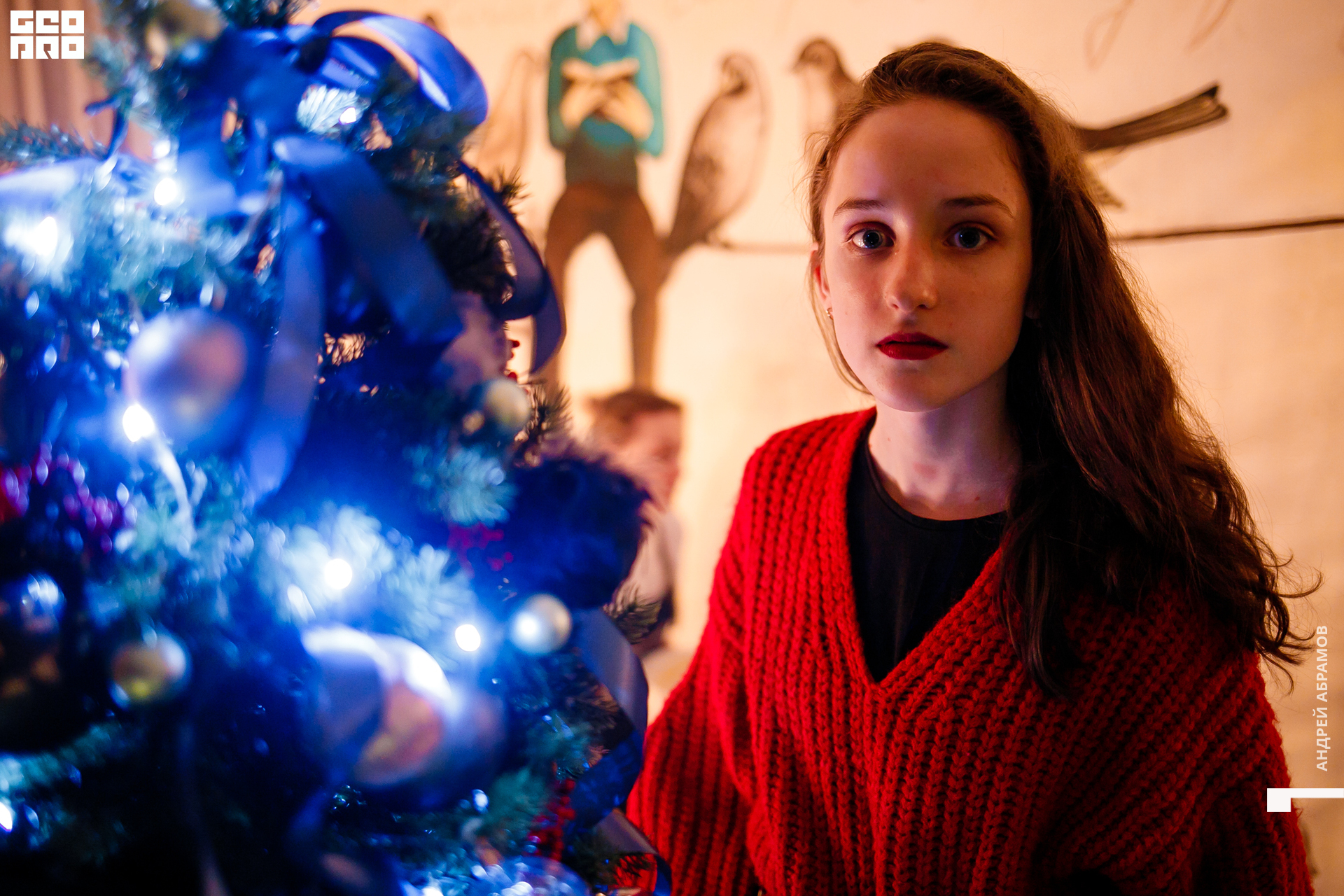 061219 Птичка Абрамов  0015.jpg