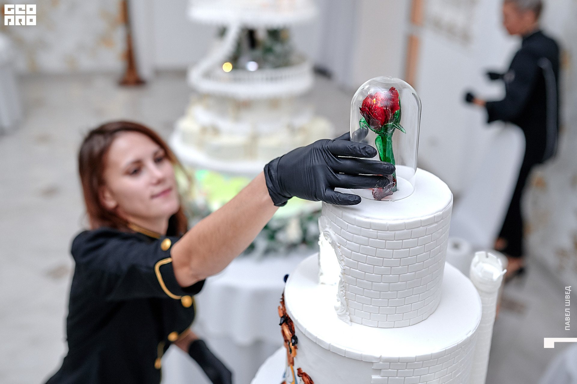 2019-11-24 13-10-00_SHVED_0027.jpg