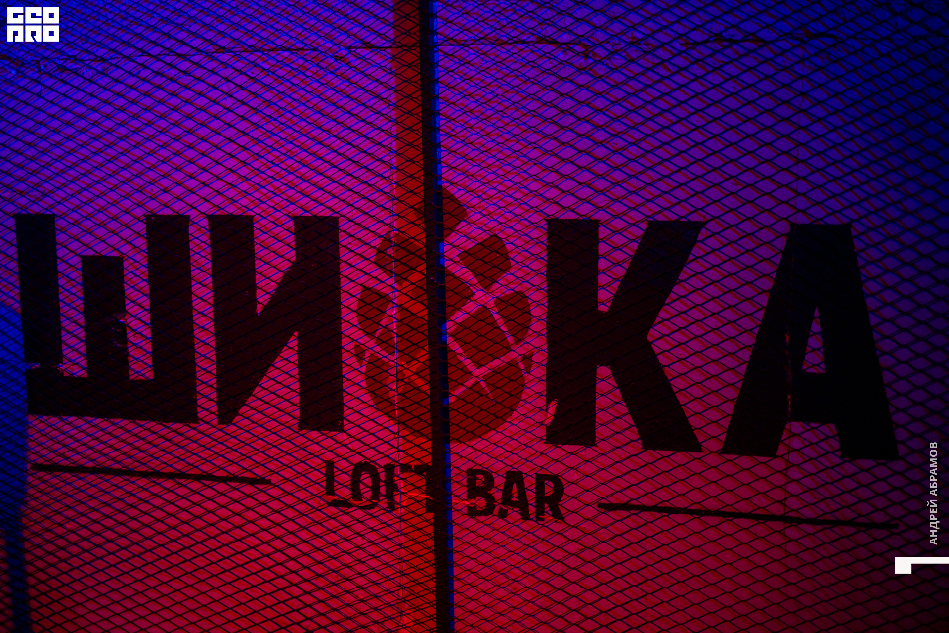 231119 Шишка Абрамов 0083.jpg