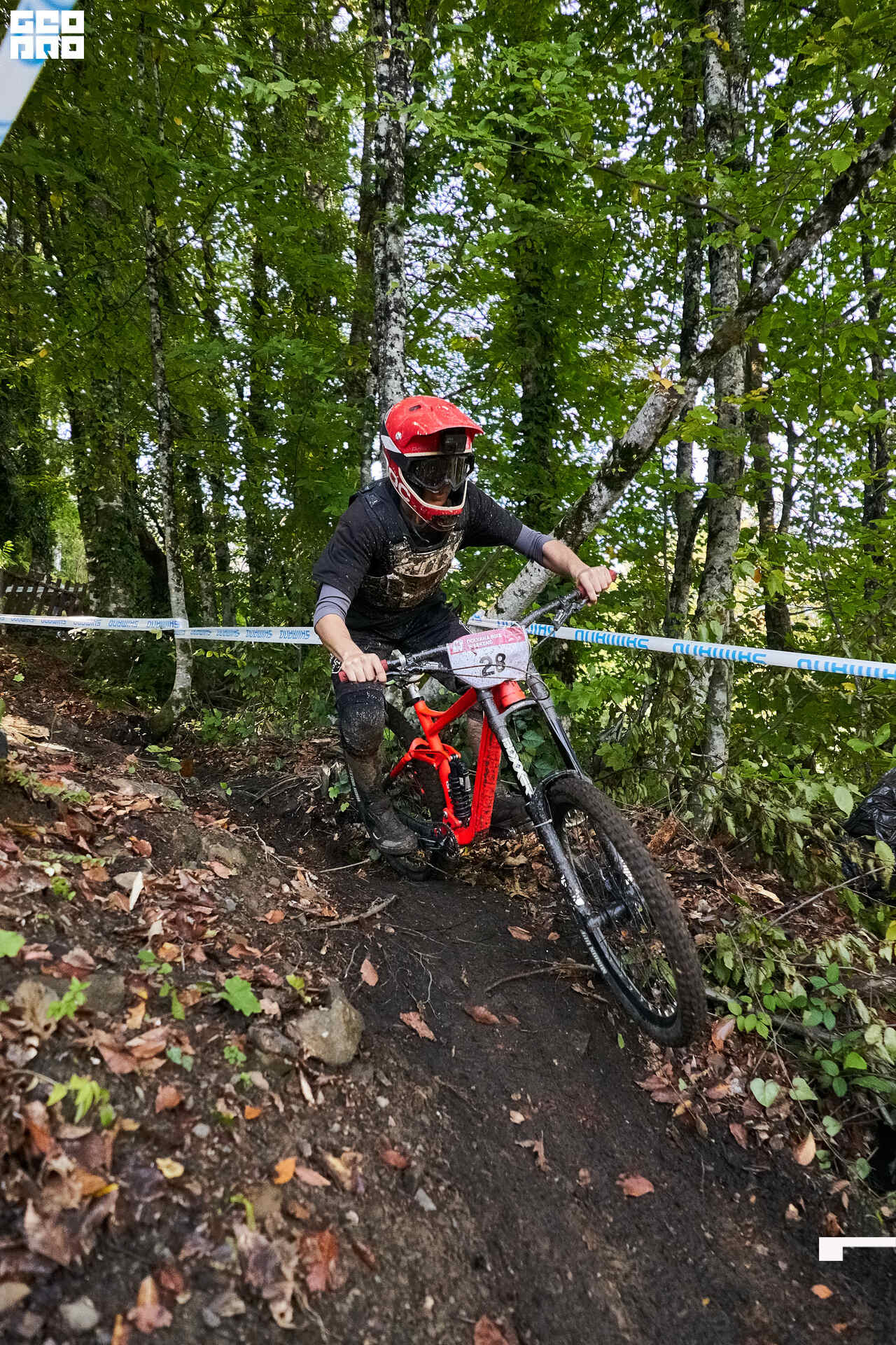 12_10_19 Мегалавина_005.jpg