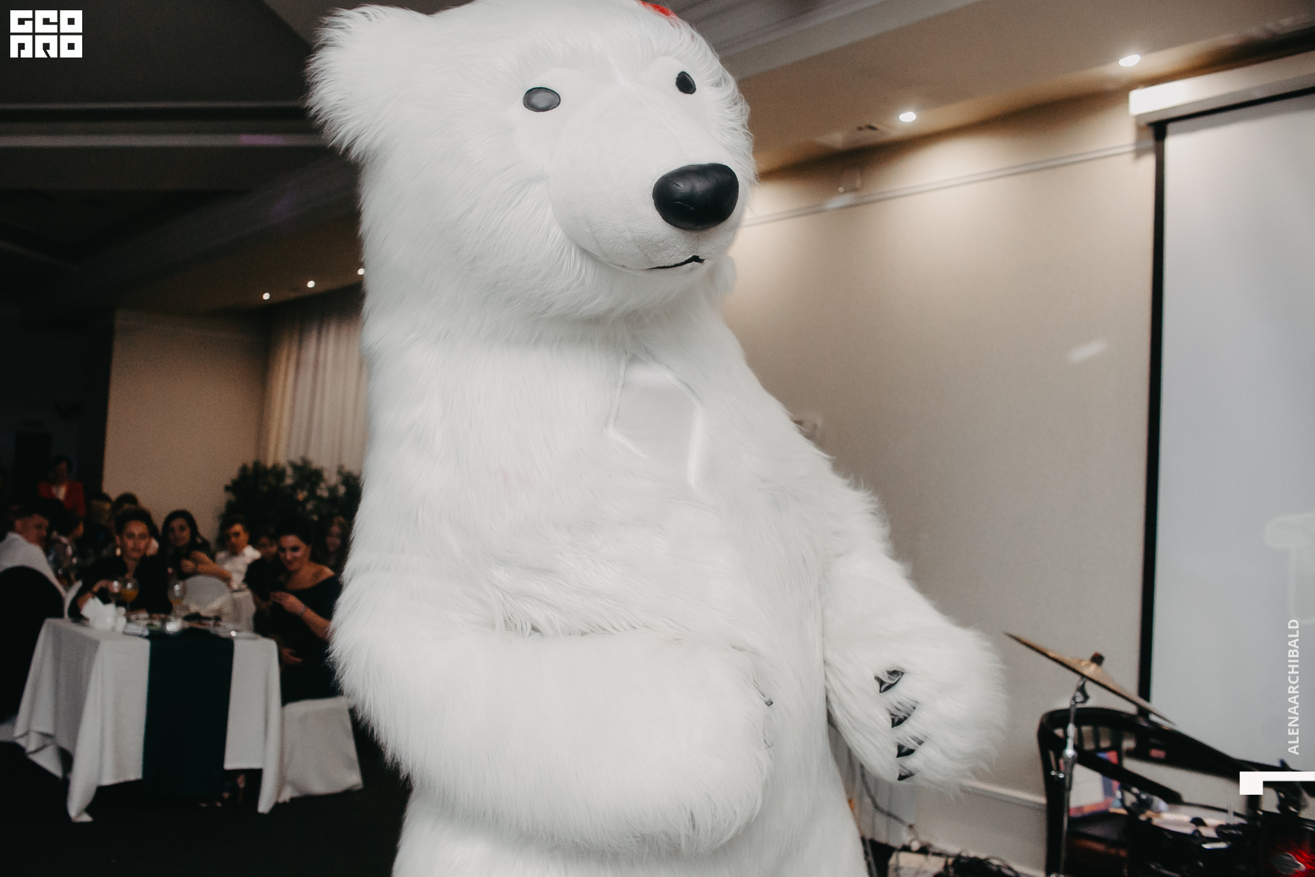 2019-12-31 21-30-25_alenaarchibald_0259.jpg