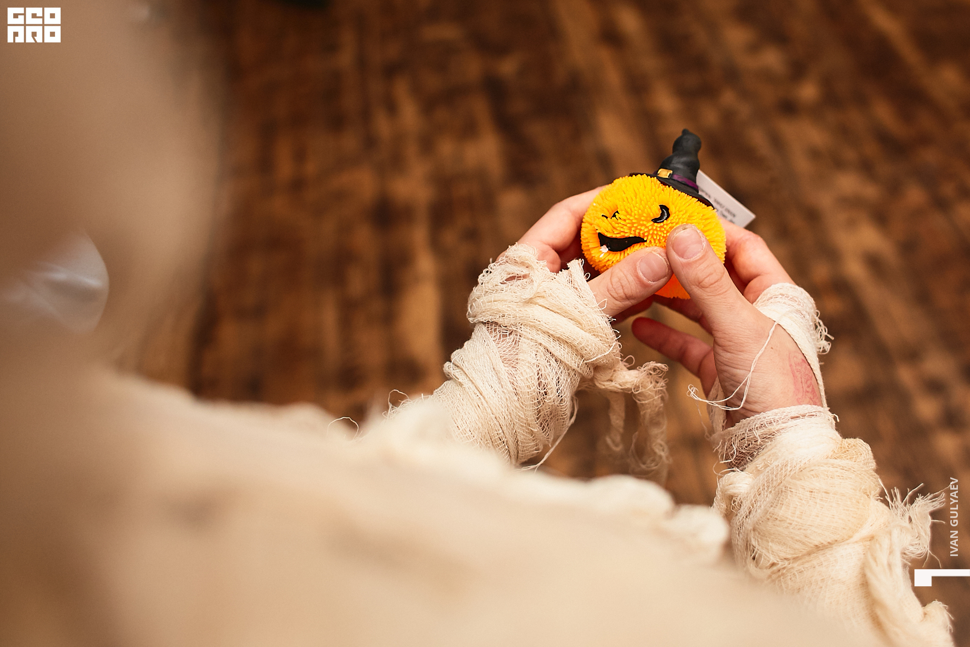 0043 _02112019_103854_Gulyaev.jpg