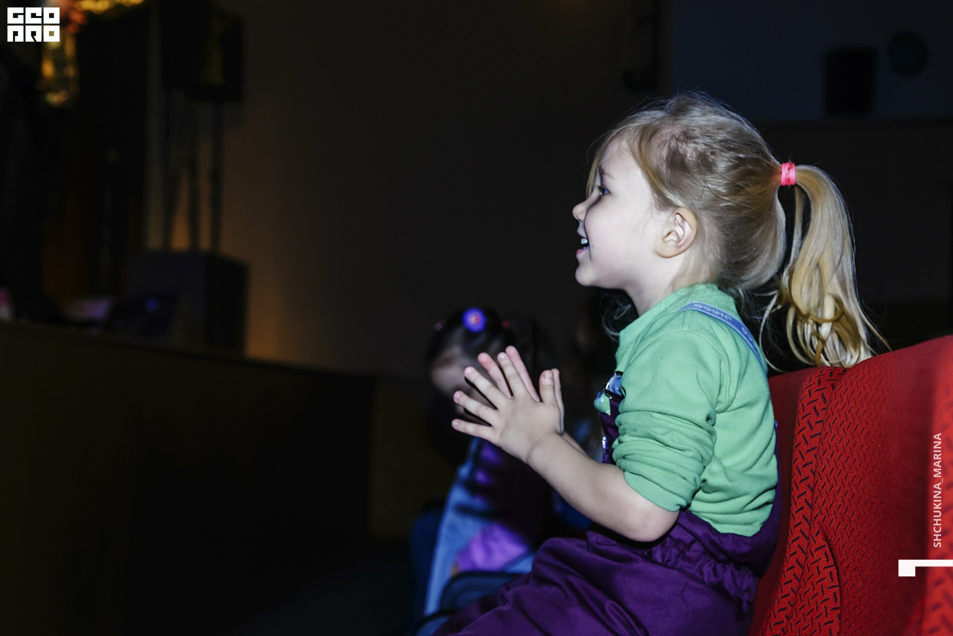 24.11.2019 дк химик-242.jpg