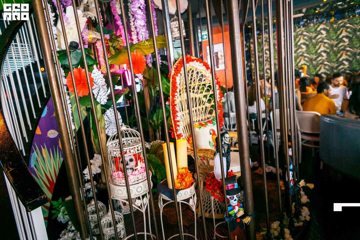 Cartagena (38 of 119).jpg