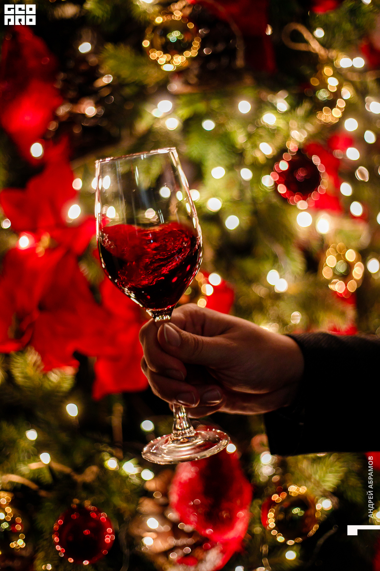 051219 Гастроужин Птичка Абрамов  0002.jpg