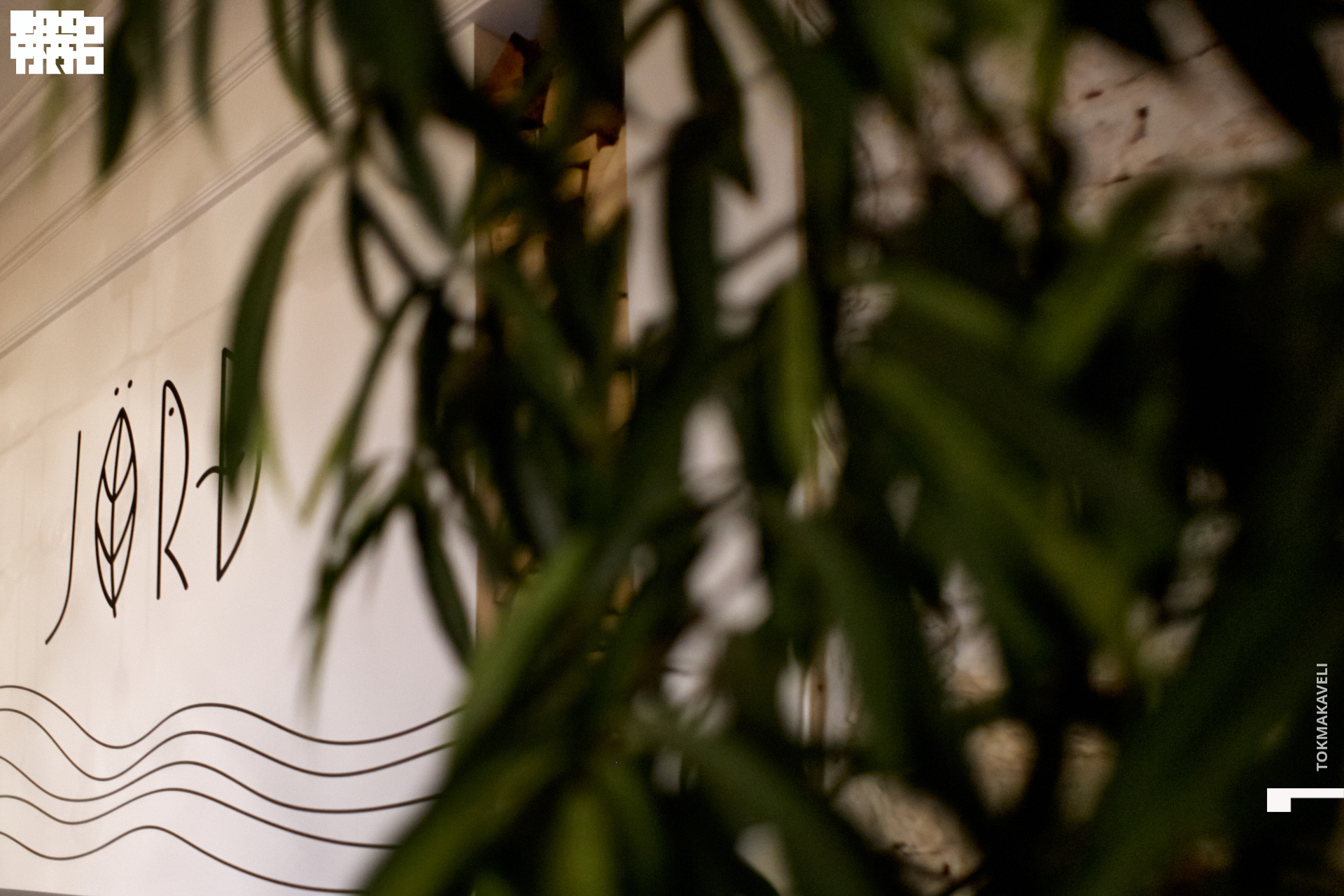 tokmakaveli 1419.jpg