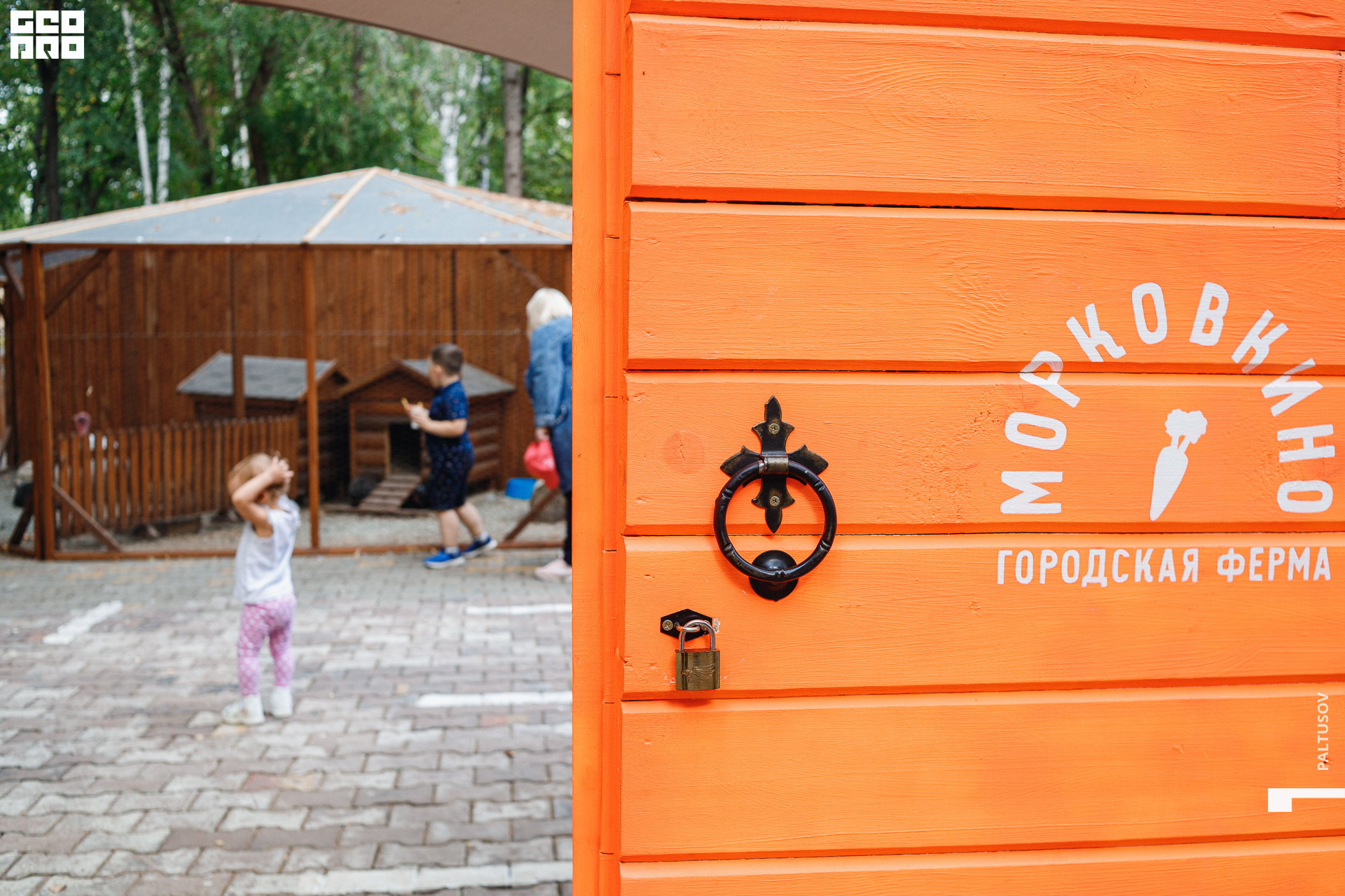 080-2020-07-25-16-44-26 - Paltusov.jpg