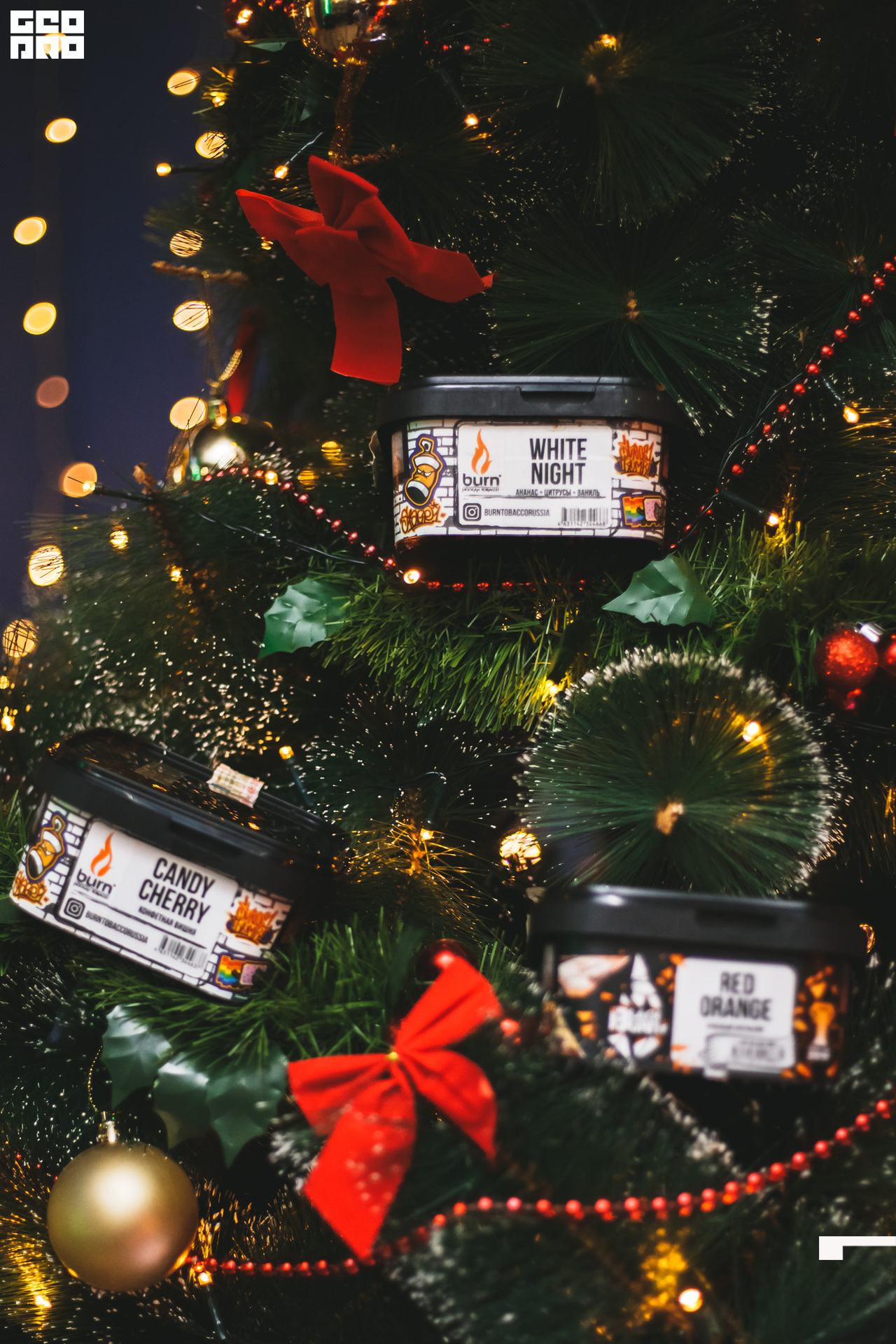 2019-12-22 14-00-00_svirkova_007.jpg