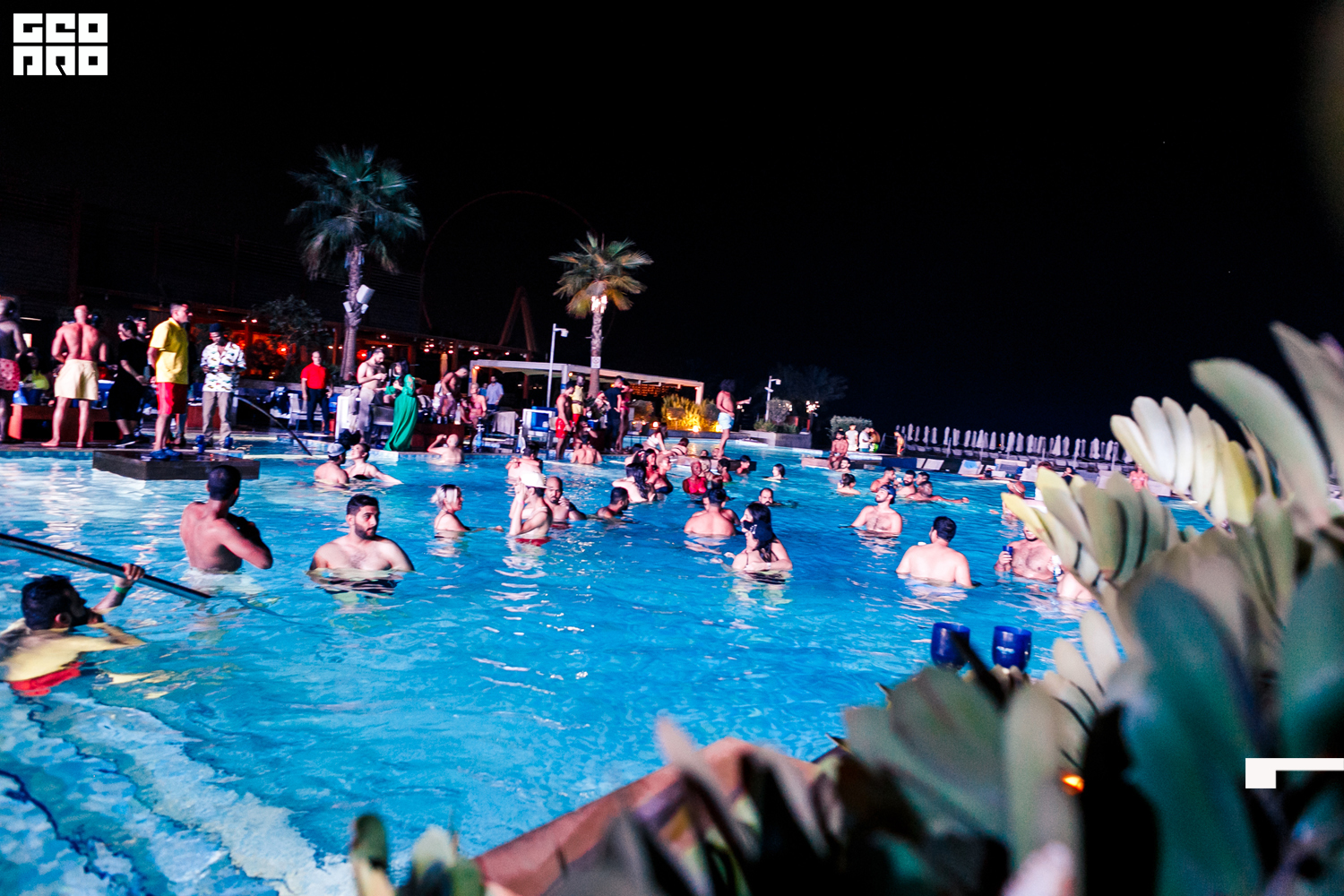 Vogue (17 of 88).jpg