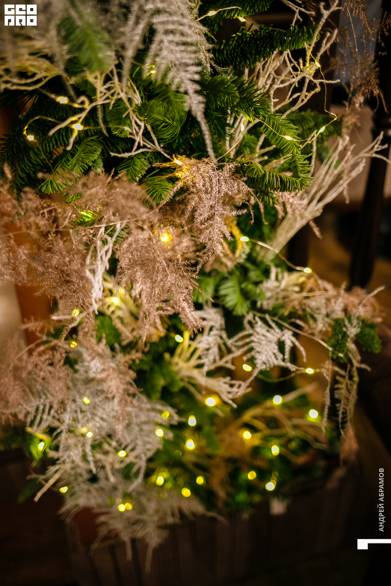 051219 Гастроужин Птичка Абрамов  0109.jpg