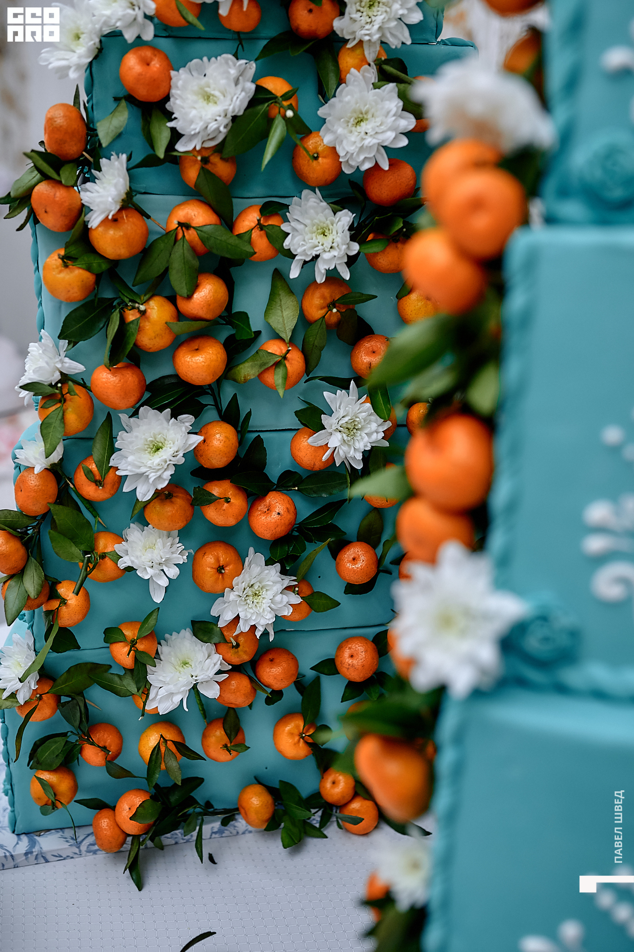 2019-11-24 13-10-00_SHVED_0008.jpg