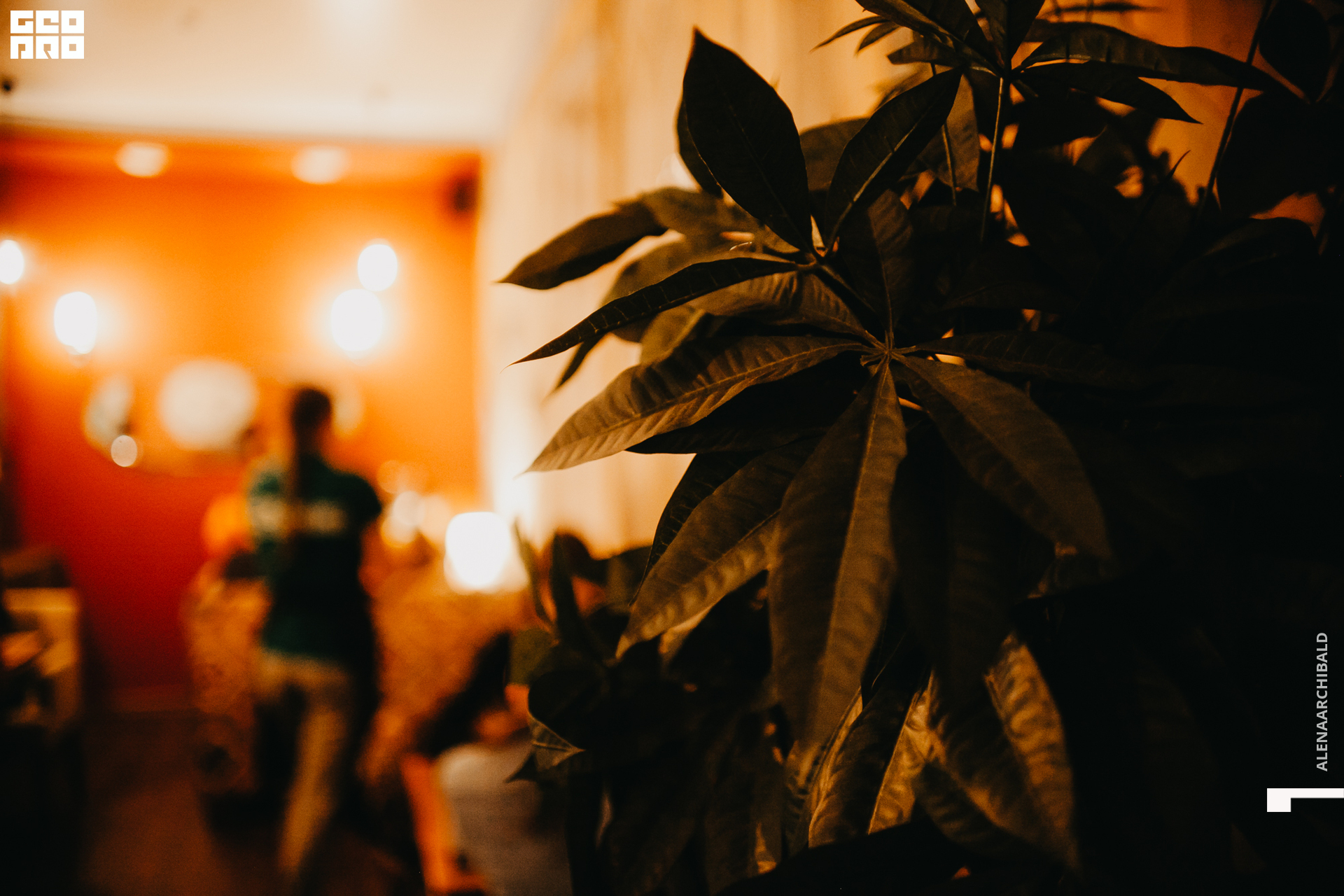 2019-10-25 20-00-00_alenaarchibald_0037.jpg