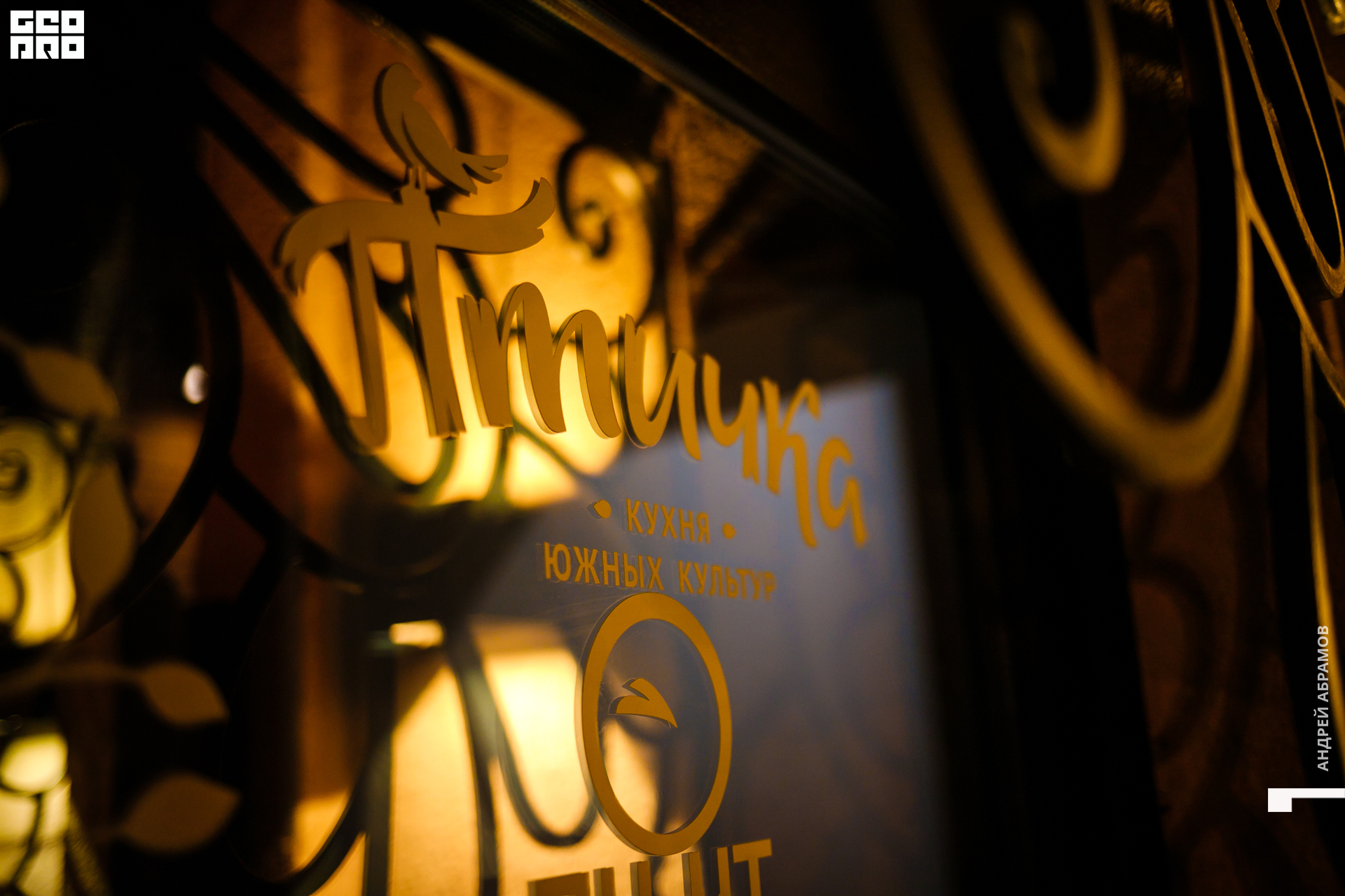 151119 Птичка Абрамов 0097.jpg