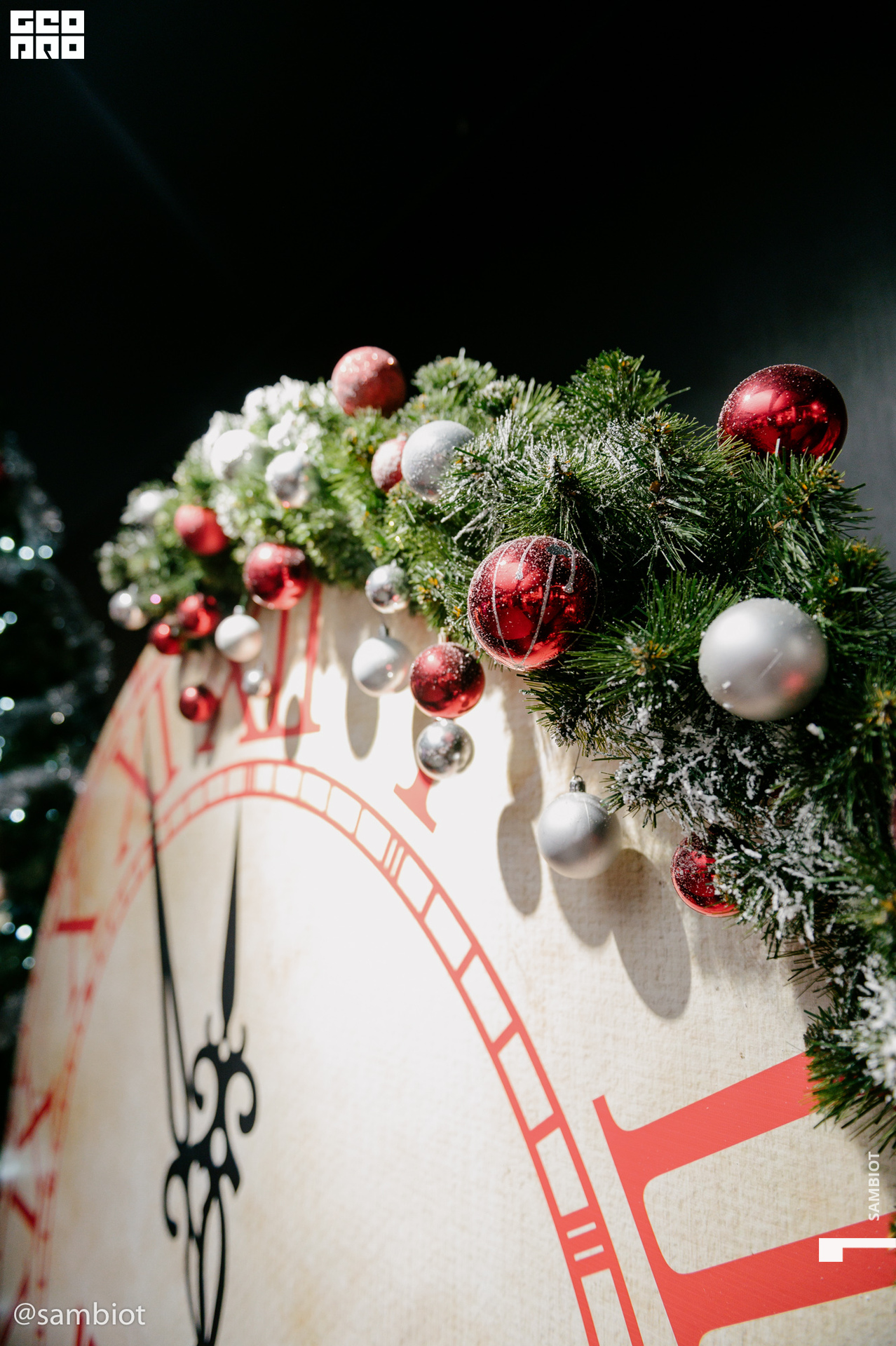 untitled (8 of 63).jpg