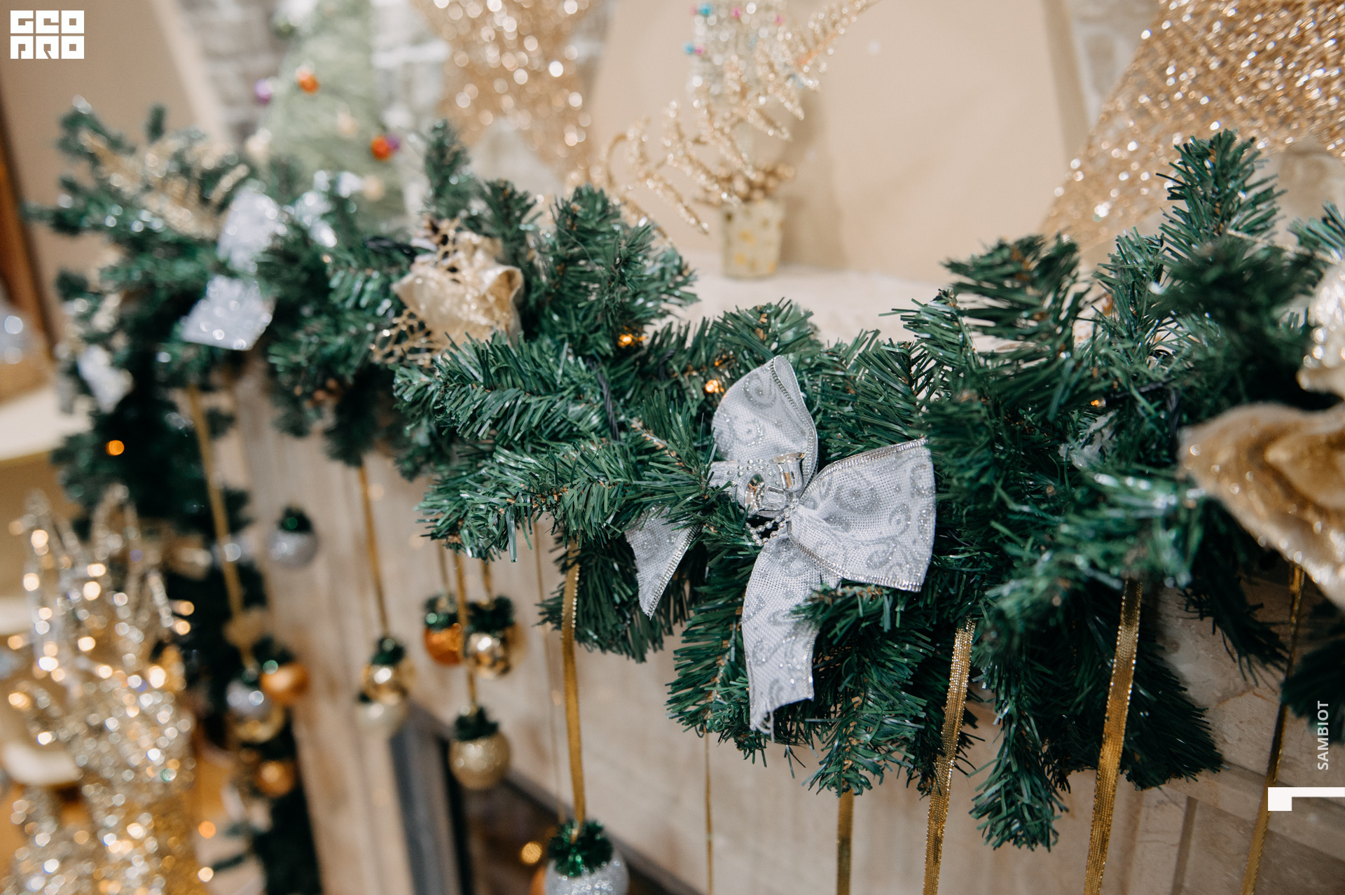 untitled (8 of 195).jpg