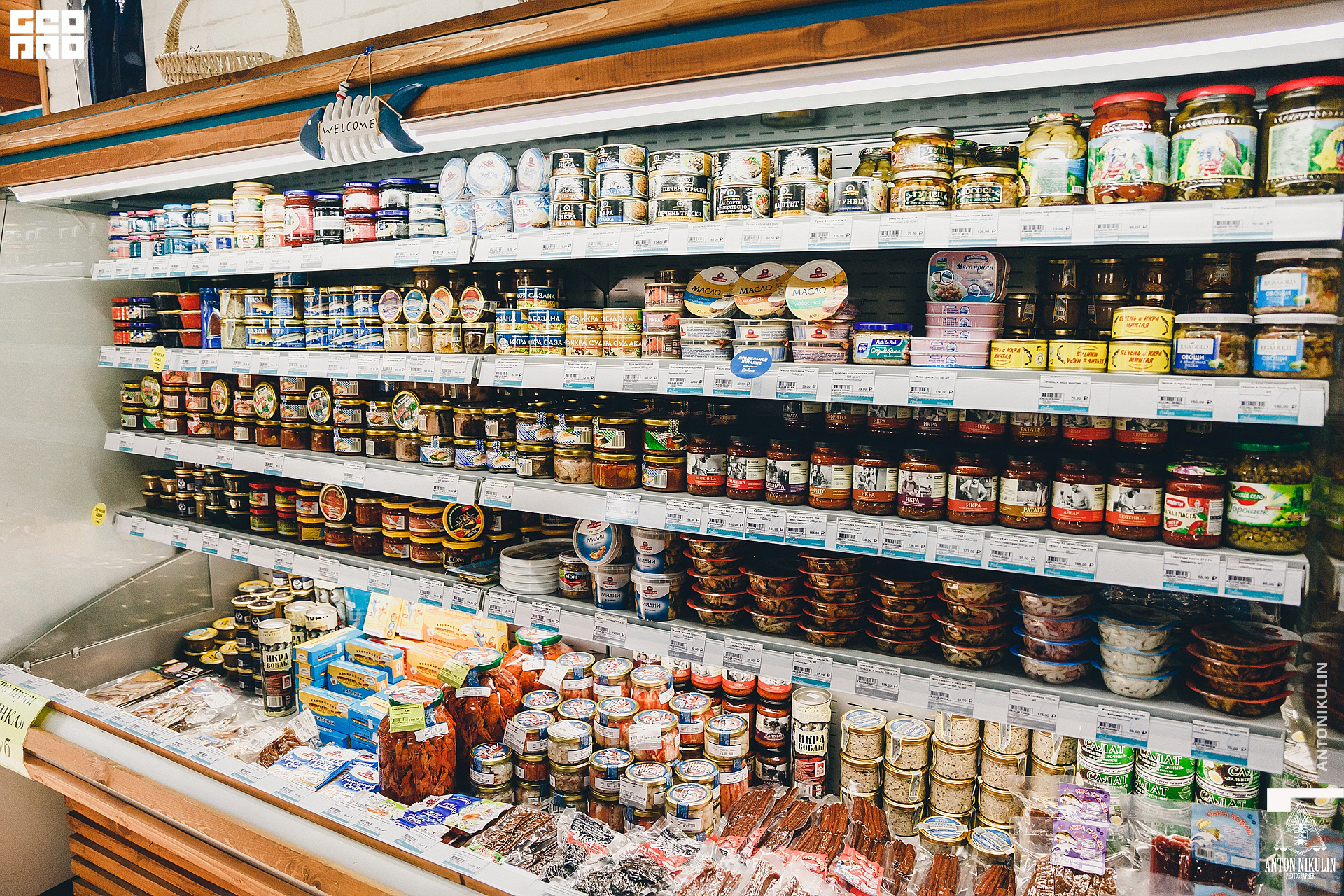 untitled shoot-9763.jpg