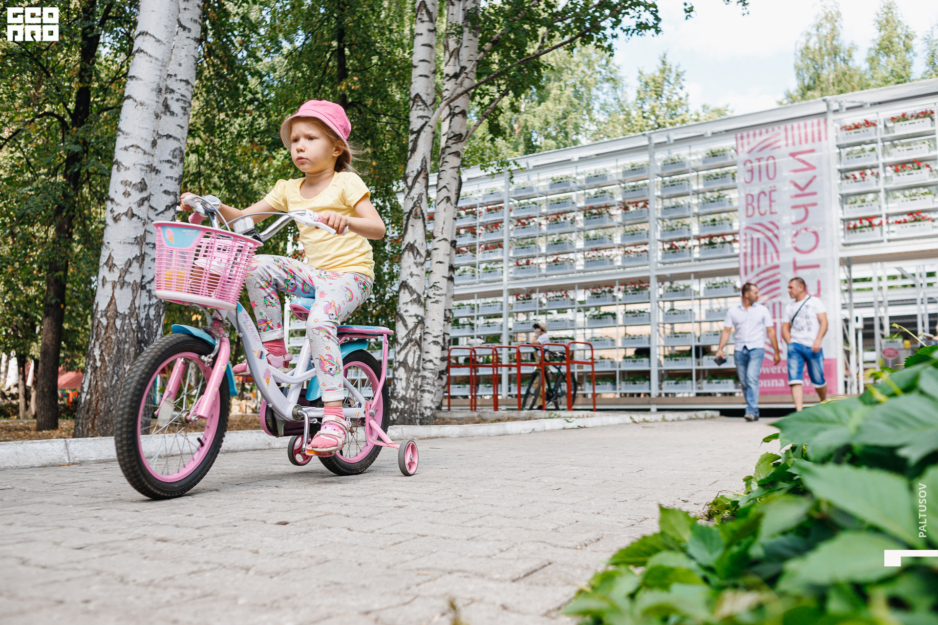 009-2020-07-25-15-43-53 - Paltusov.jpg