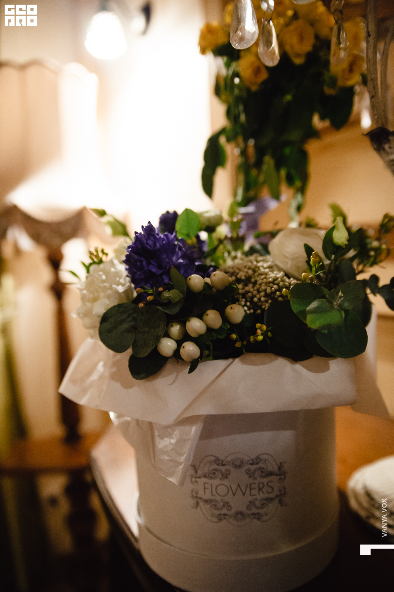 2020-02-14 18-45-00_vox_066.jpg