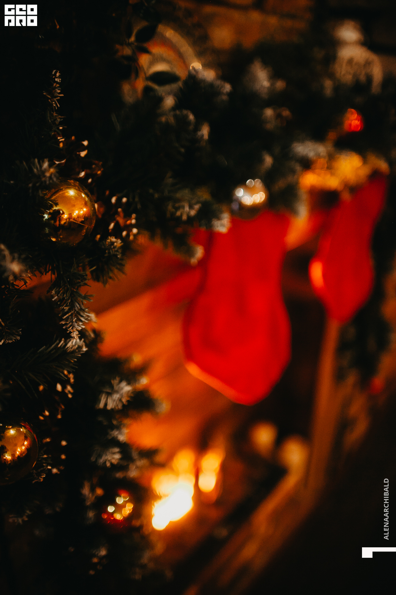 2019-12-06 20-00-36_alenaarchibald_0011.jpg