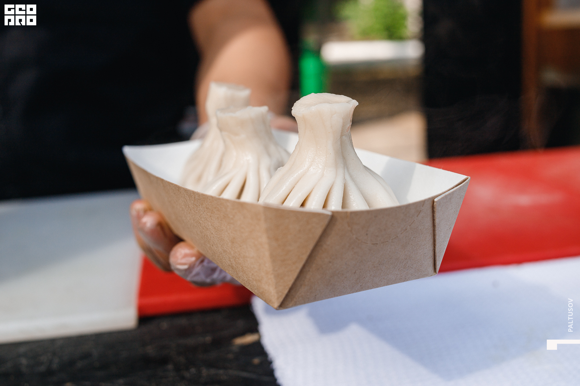 074-2020-07-25-16-35-21 - Paltusov.jpg