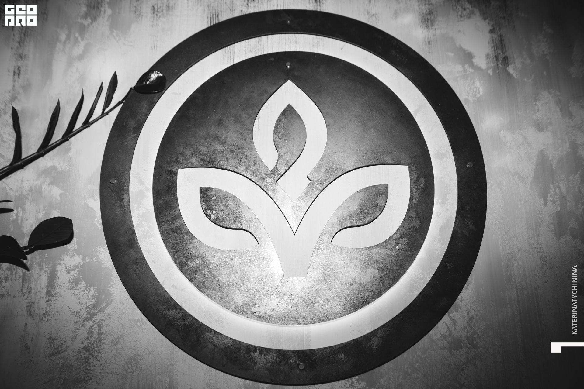 2019-12-26 20-00-00_Tychinina_0078.jpg