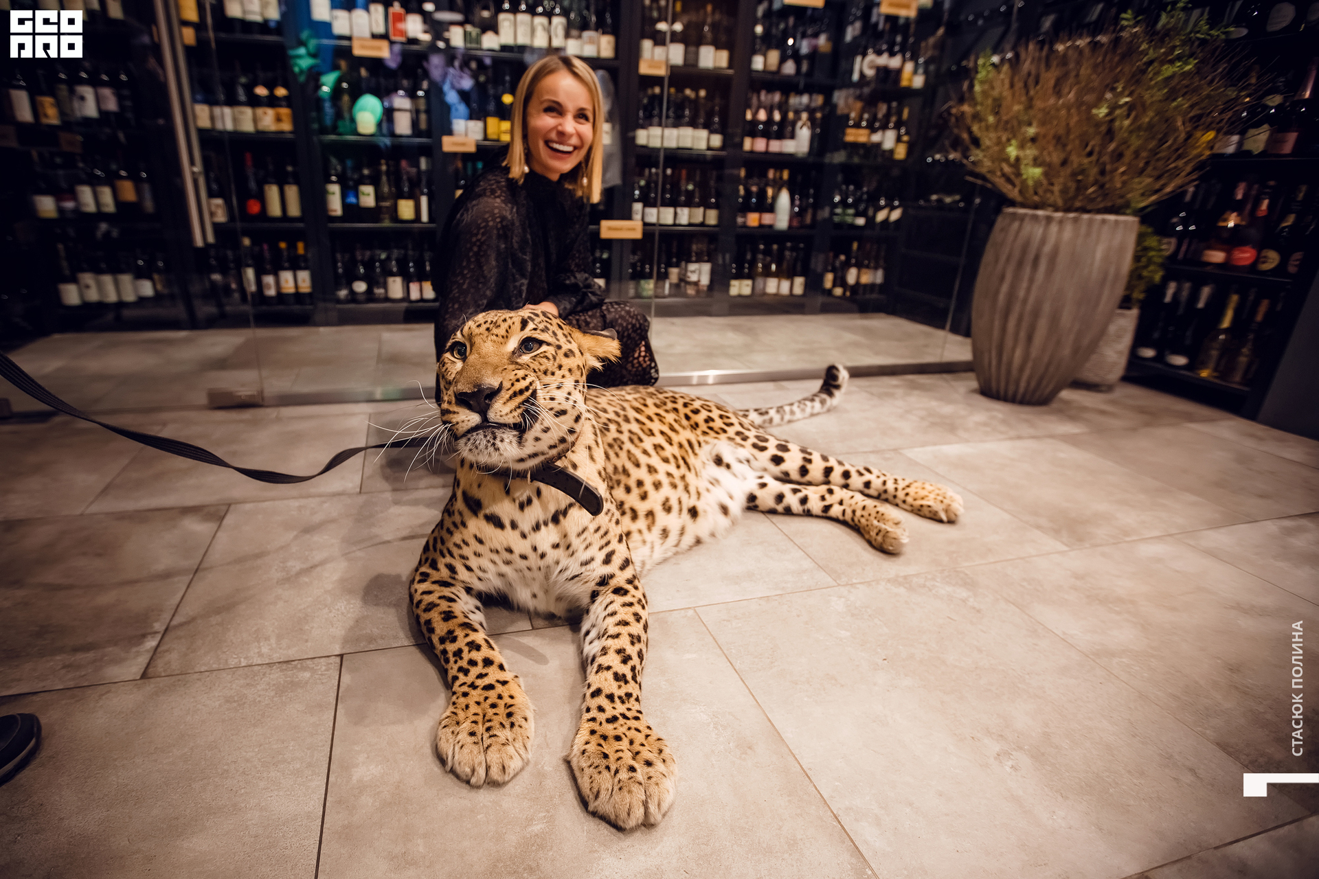 кино вино и домино - 149.jpg