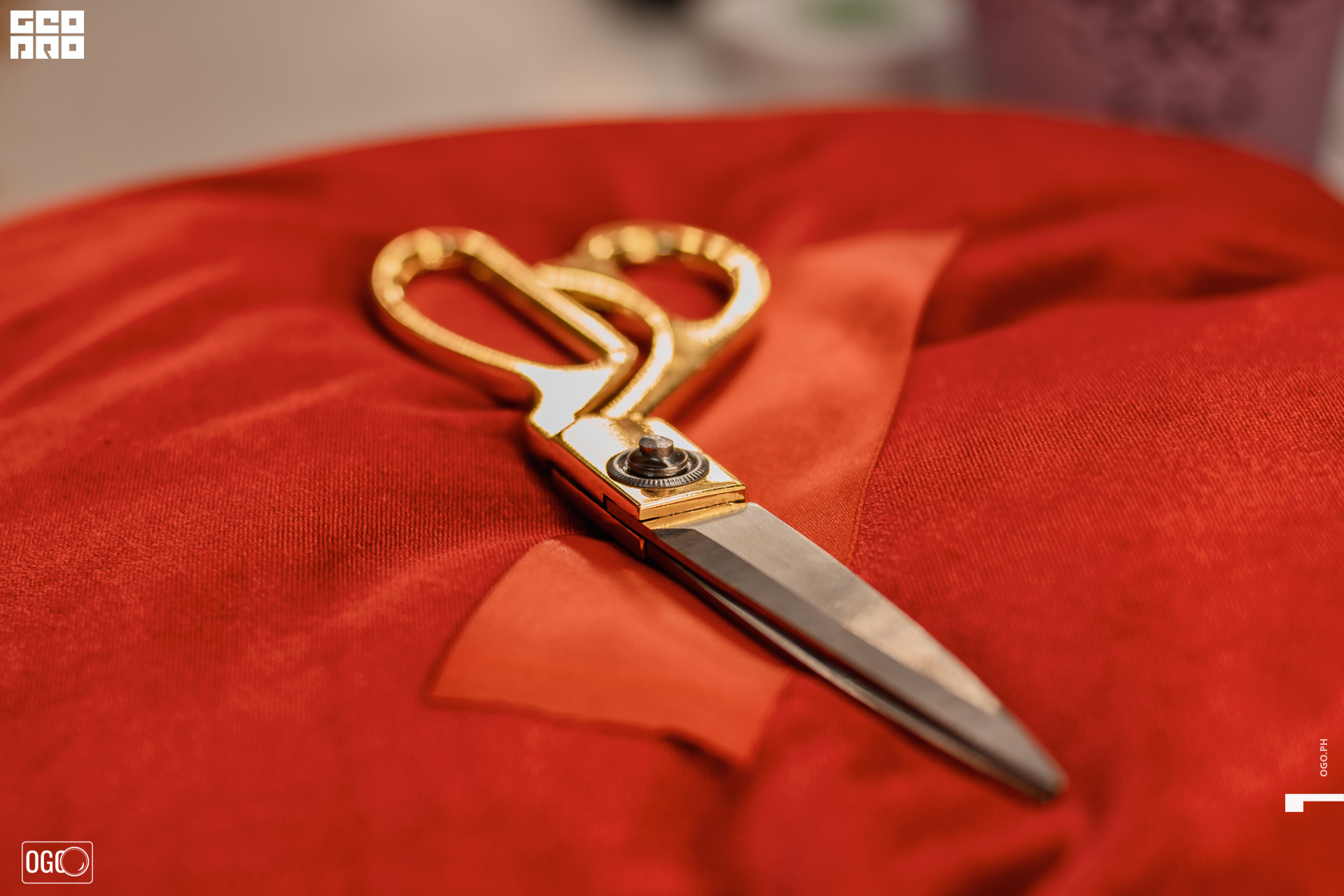 1 (36) — копия.JPG