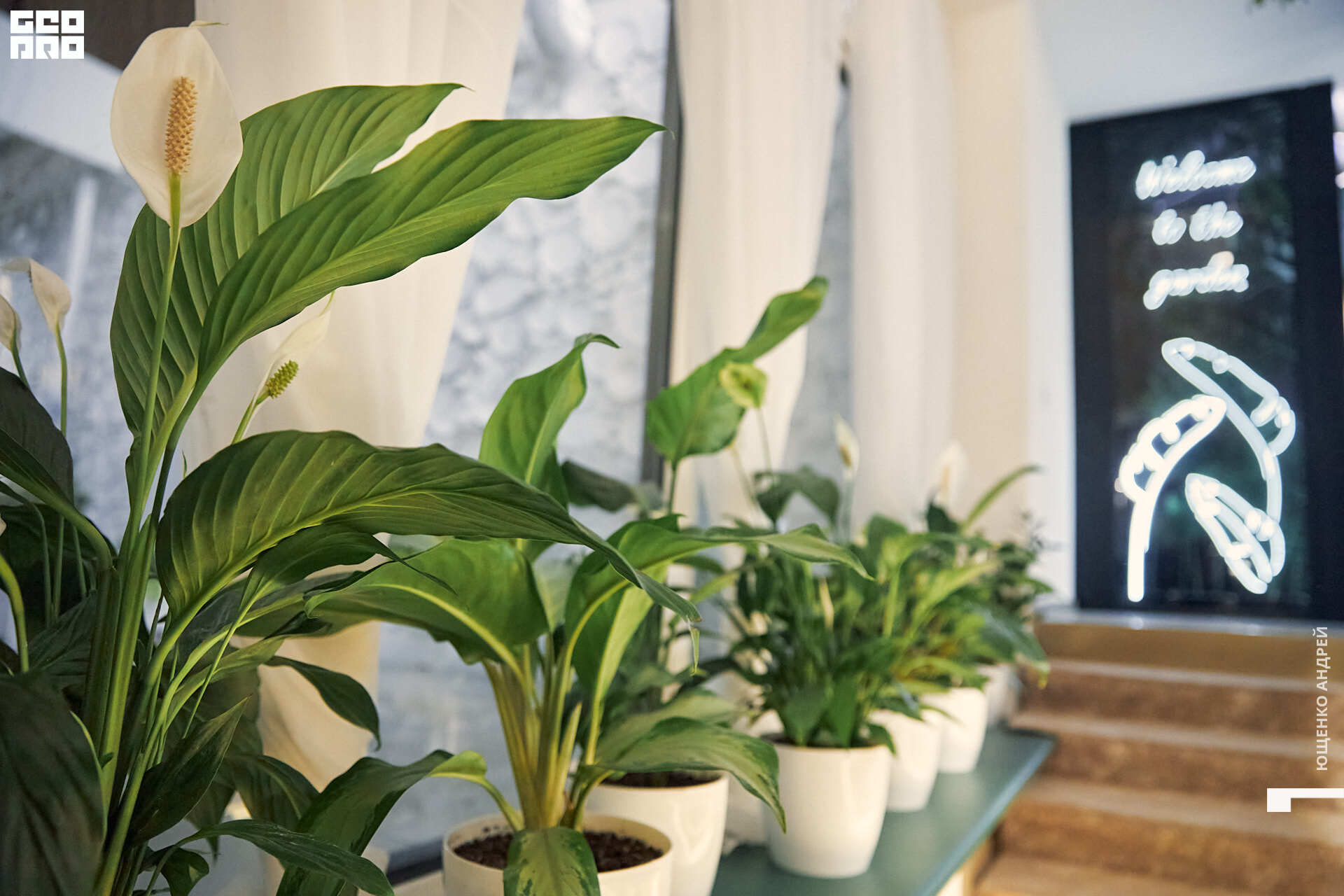 023 IMG_2708  FHD.jpg