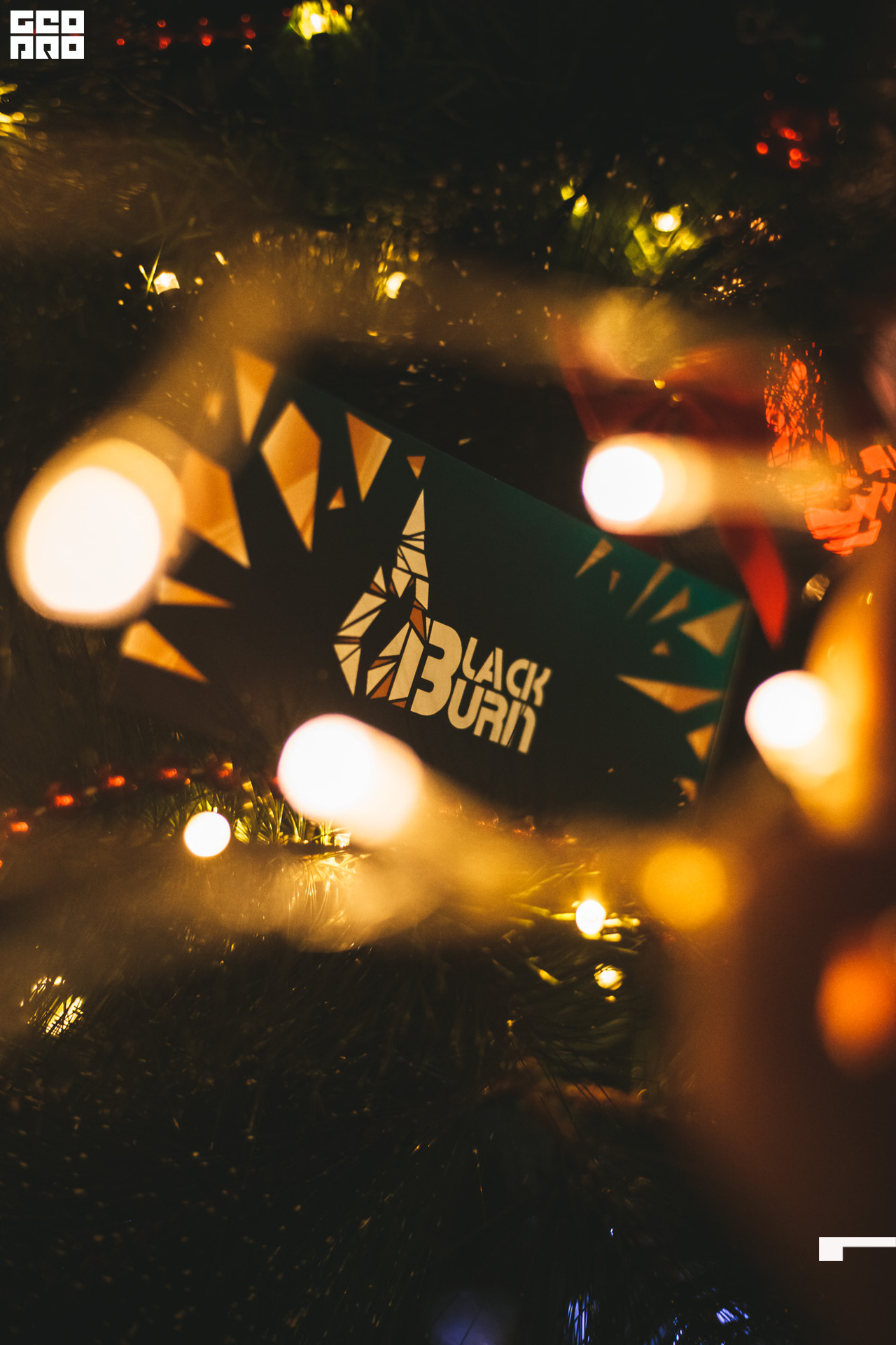 2019-12-22 14-00-00_svirkova_062.jpg