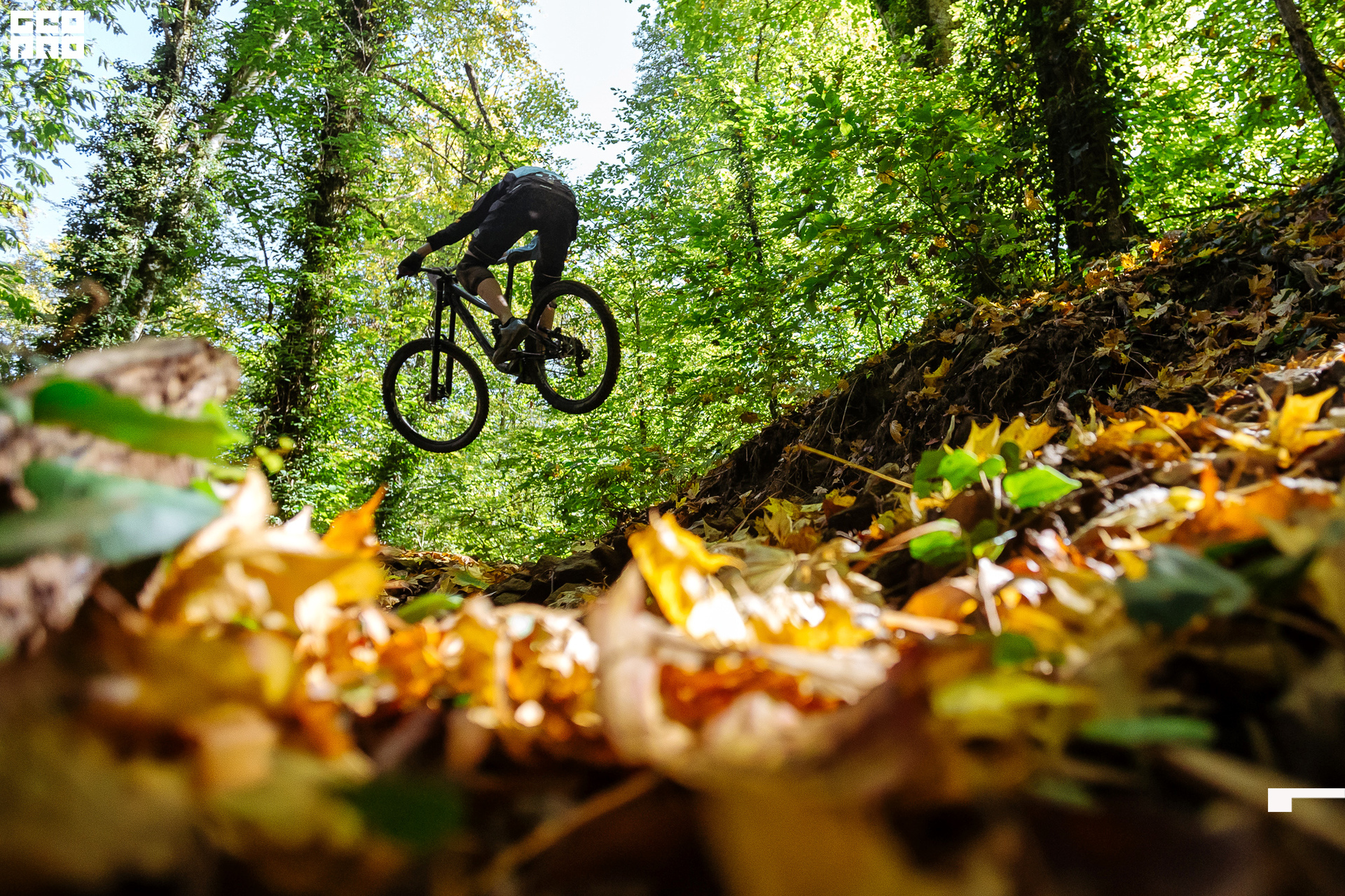 12_10_19 Мегалавина_088.jpg