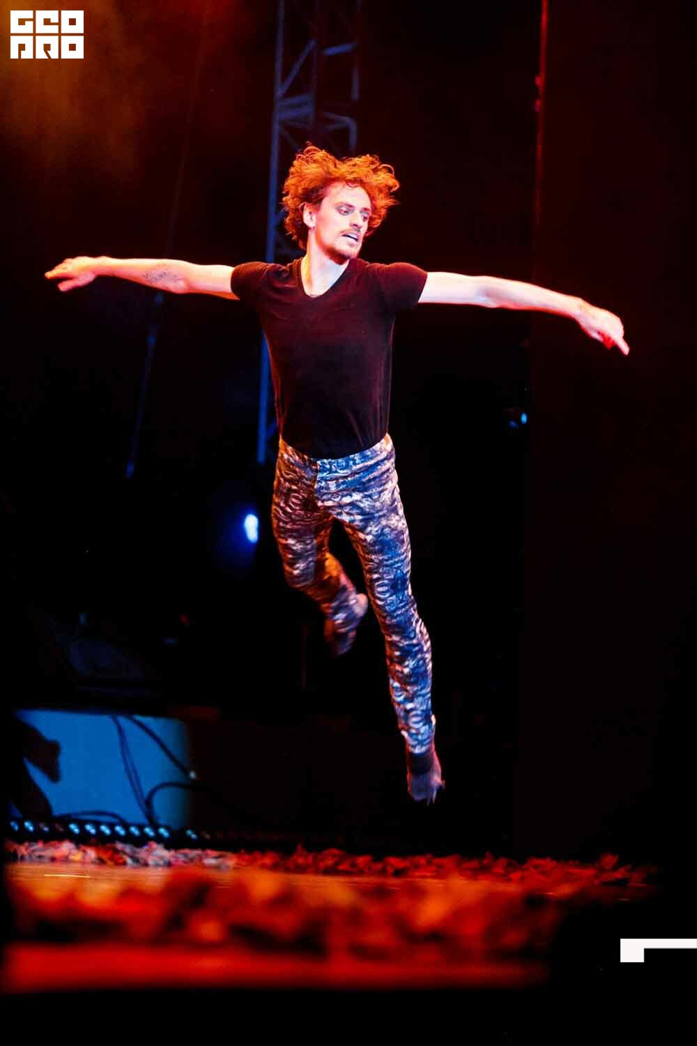 Parus_day_3 (42 of 144).jpg