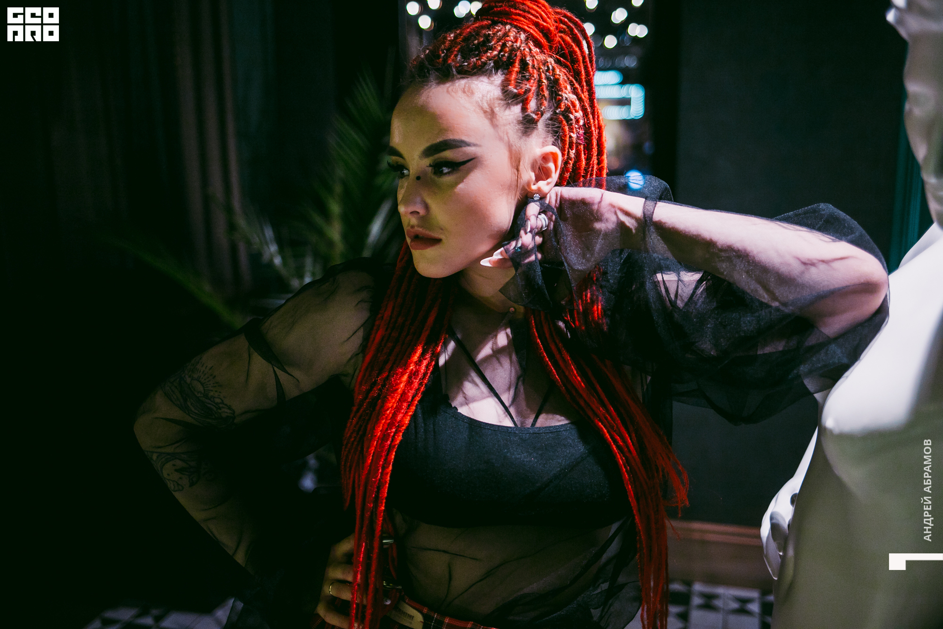 131219 Птичка и 5561 Абрамов для загрузки  0173.jpg