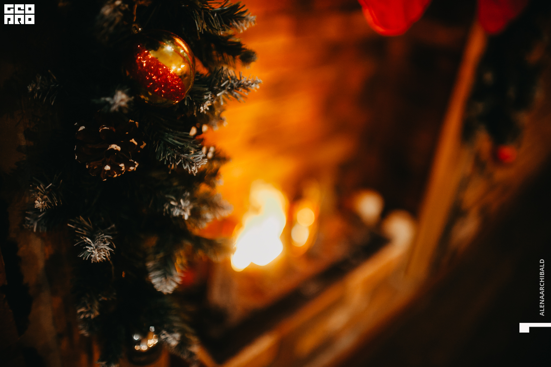 2019-12-06 20-00-36_alenaarchibald_0091.jpg