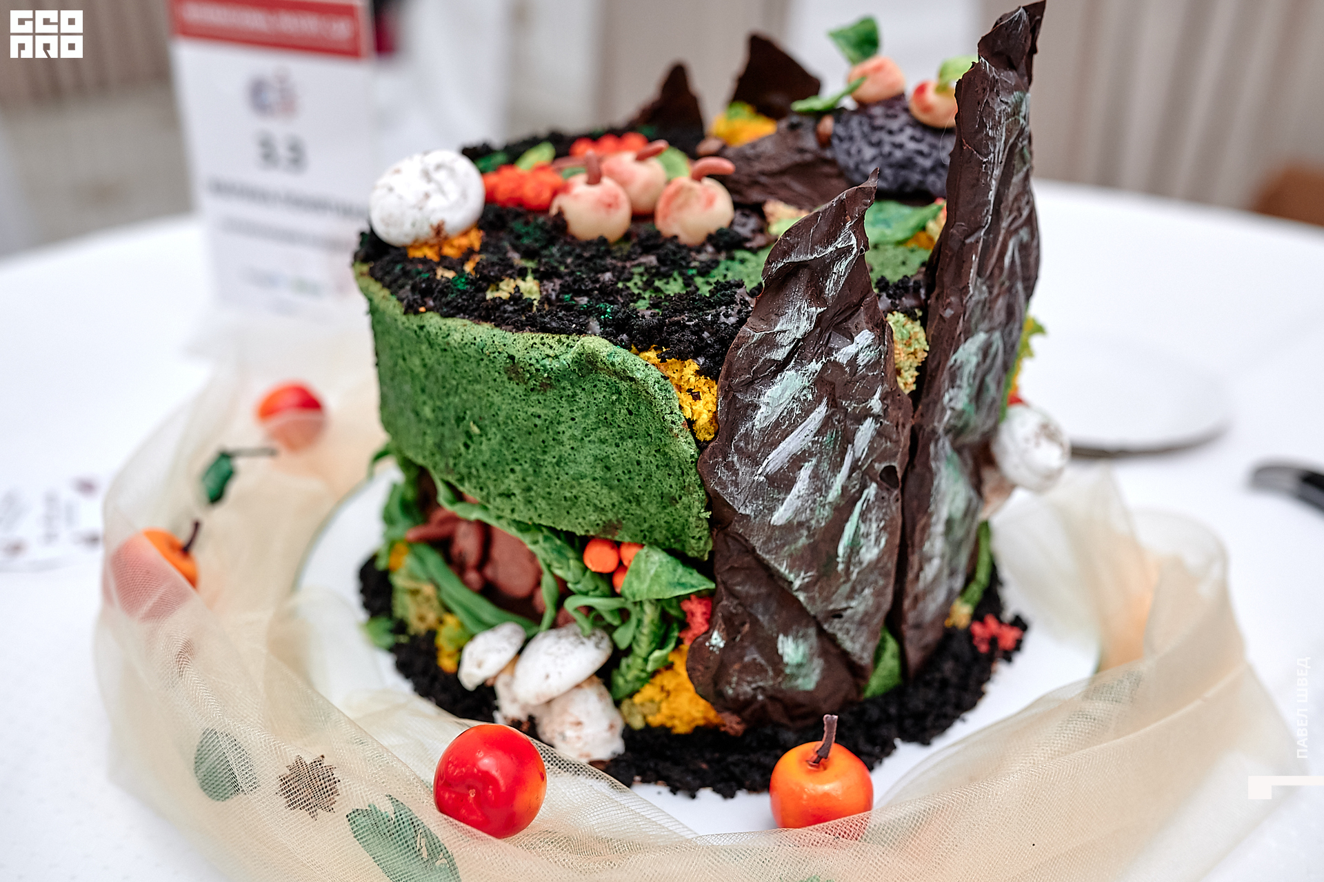 2019-11-24 13-10-00_SHVED_0063.jpg