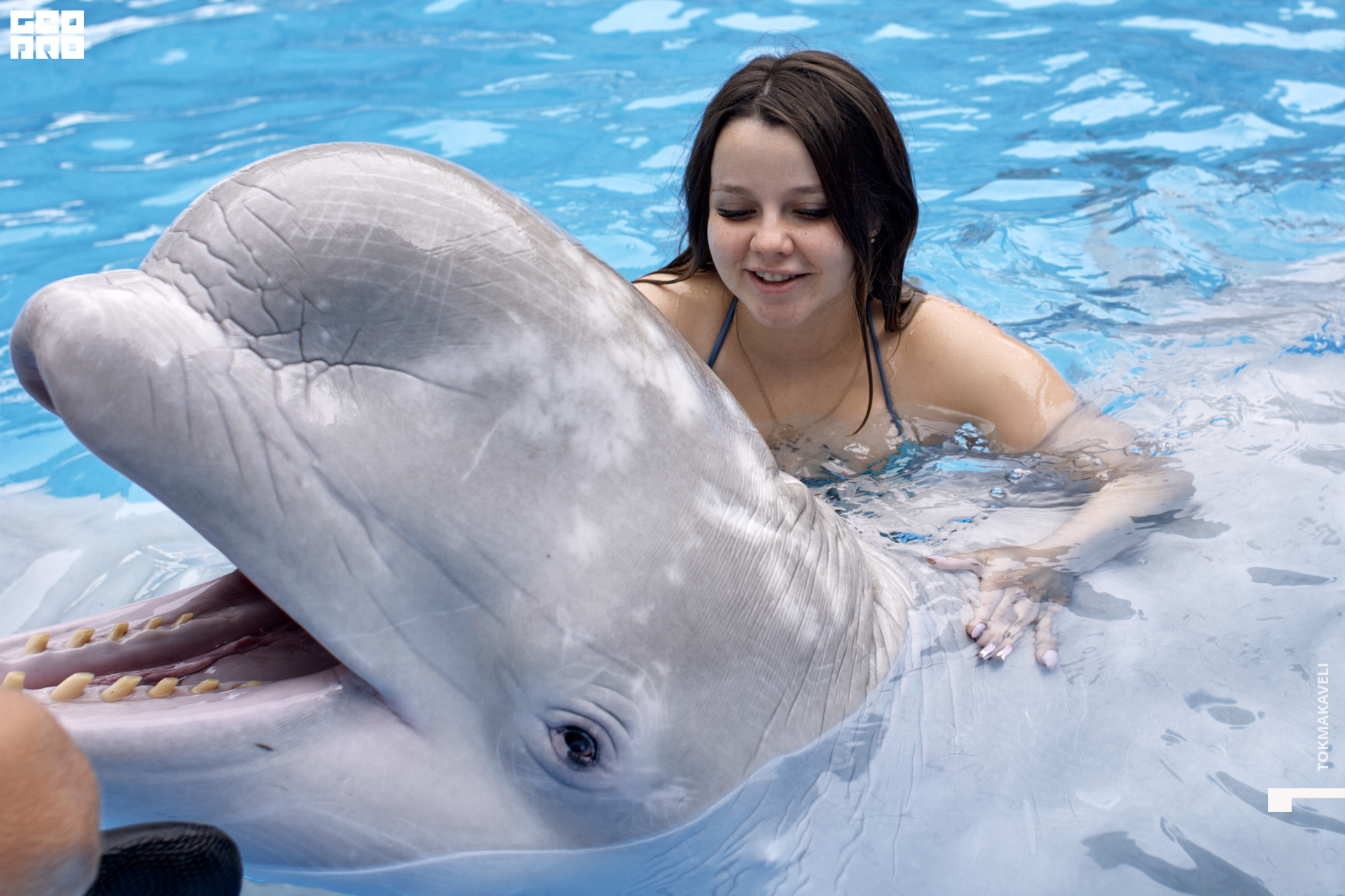 tokmakaveli 1485.jpg