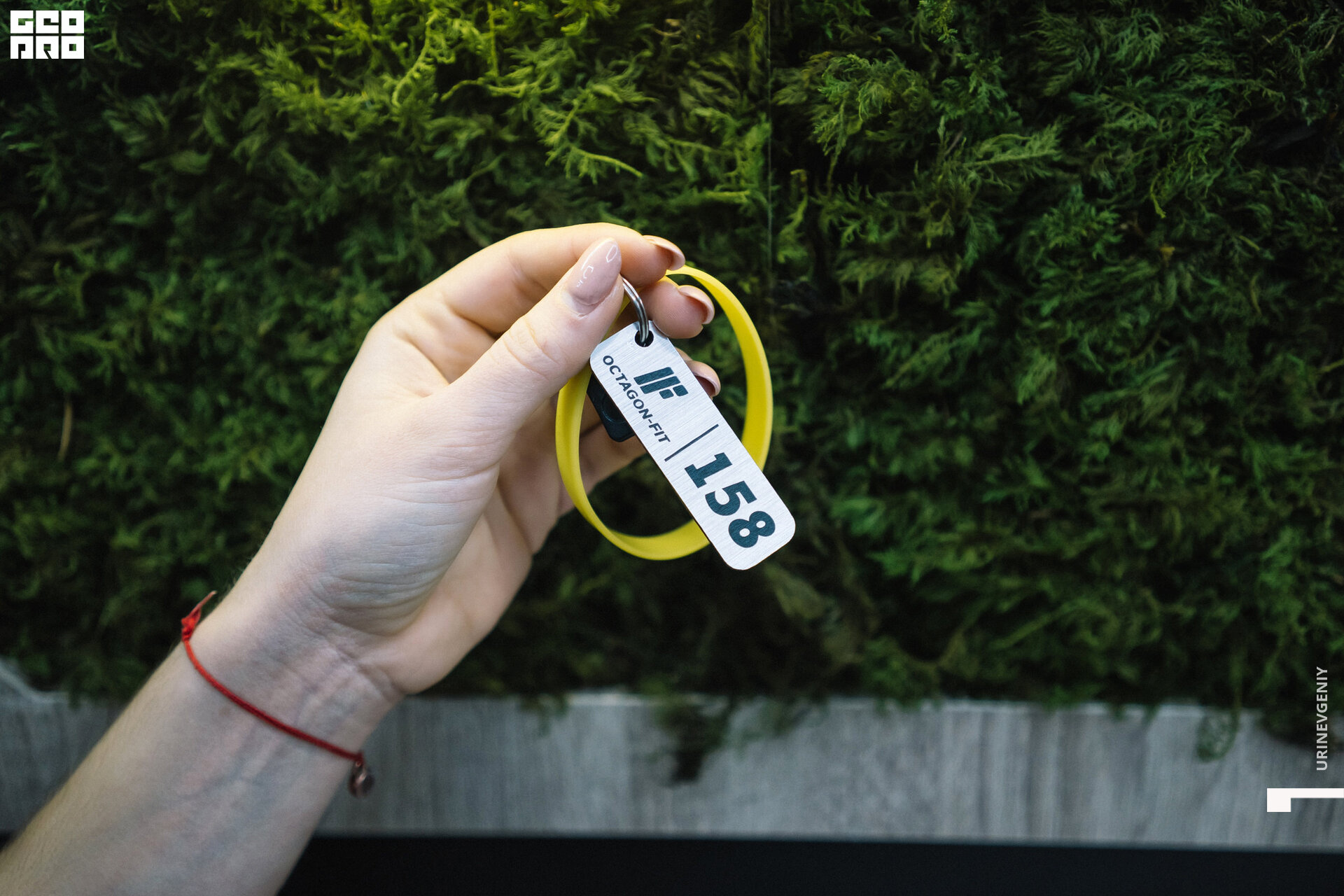 29.11. octagon fit (78).jpg