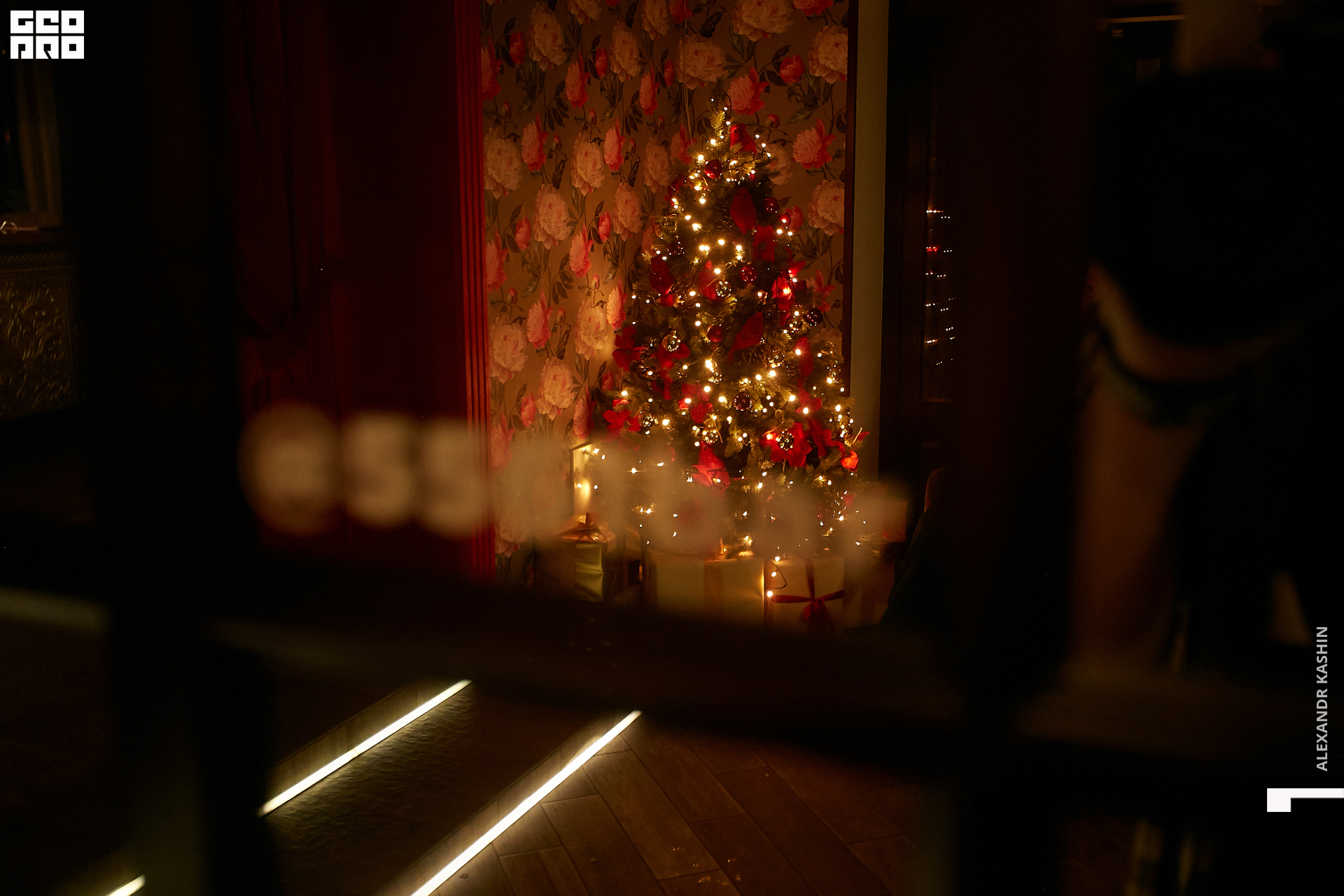 2020-01-03 21-30-00_Kashin_0058.jpg